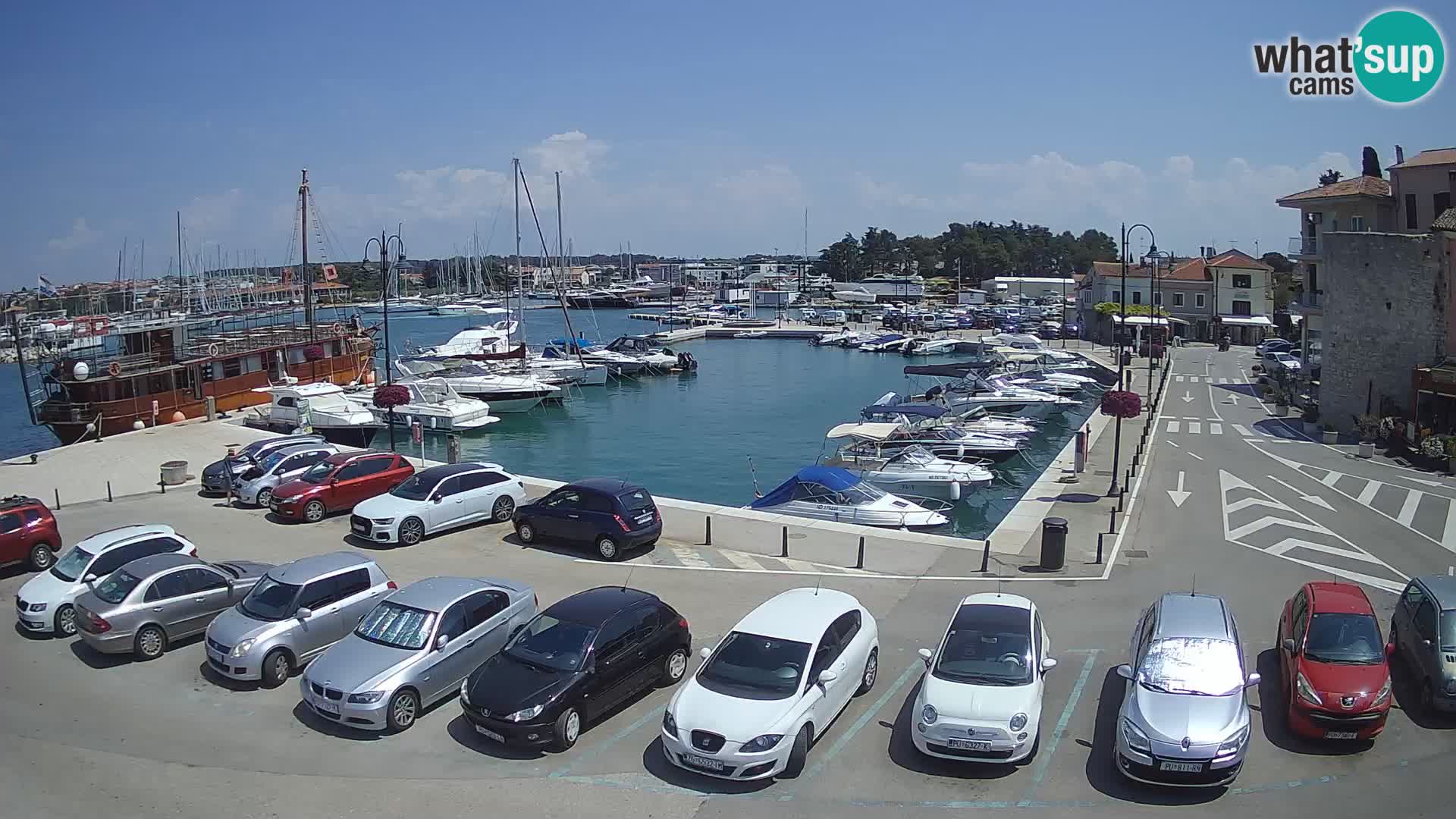 Novigrad | Porporela marina