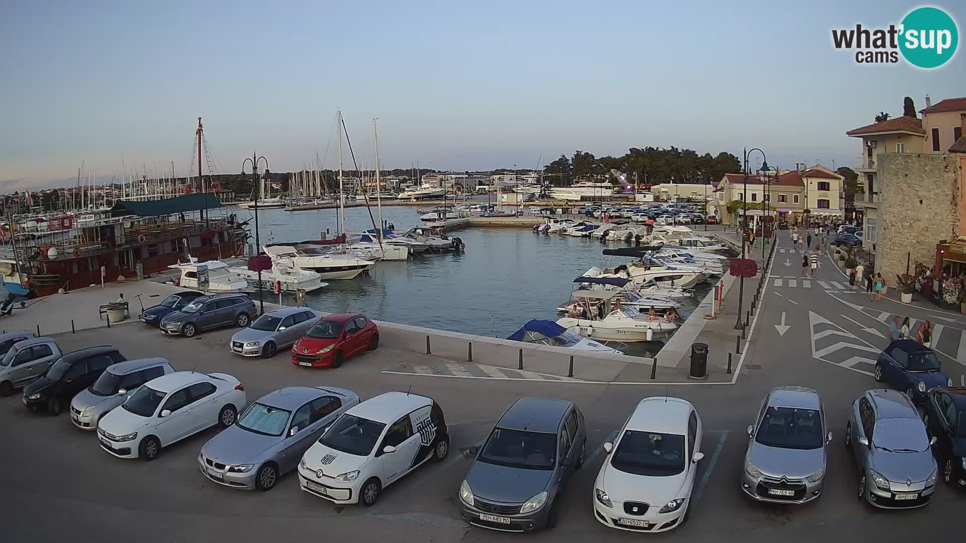 Novigrad | Porporela marina