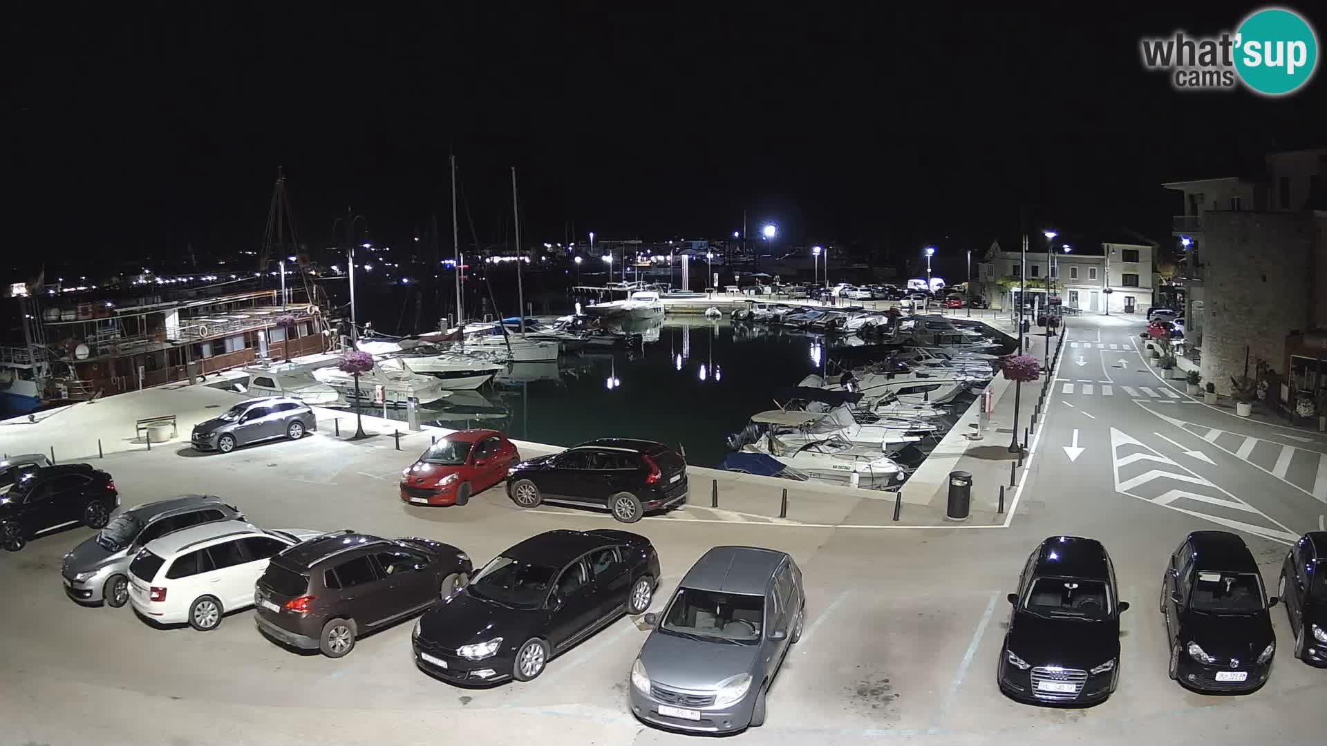 Novigrad | Porporela marina