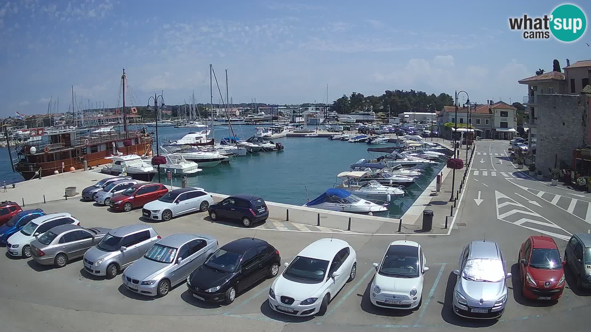 Novigrad | Porporela marina