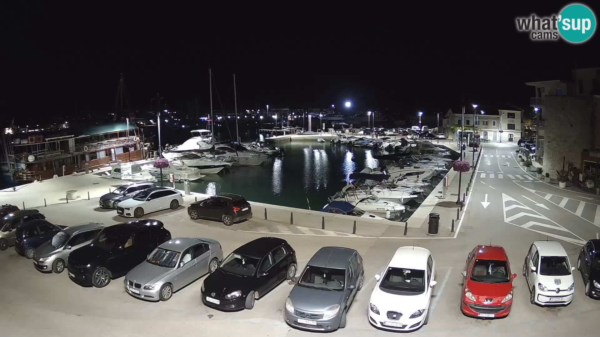 Novigrad | Porporela marina