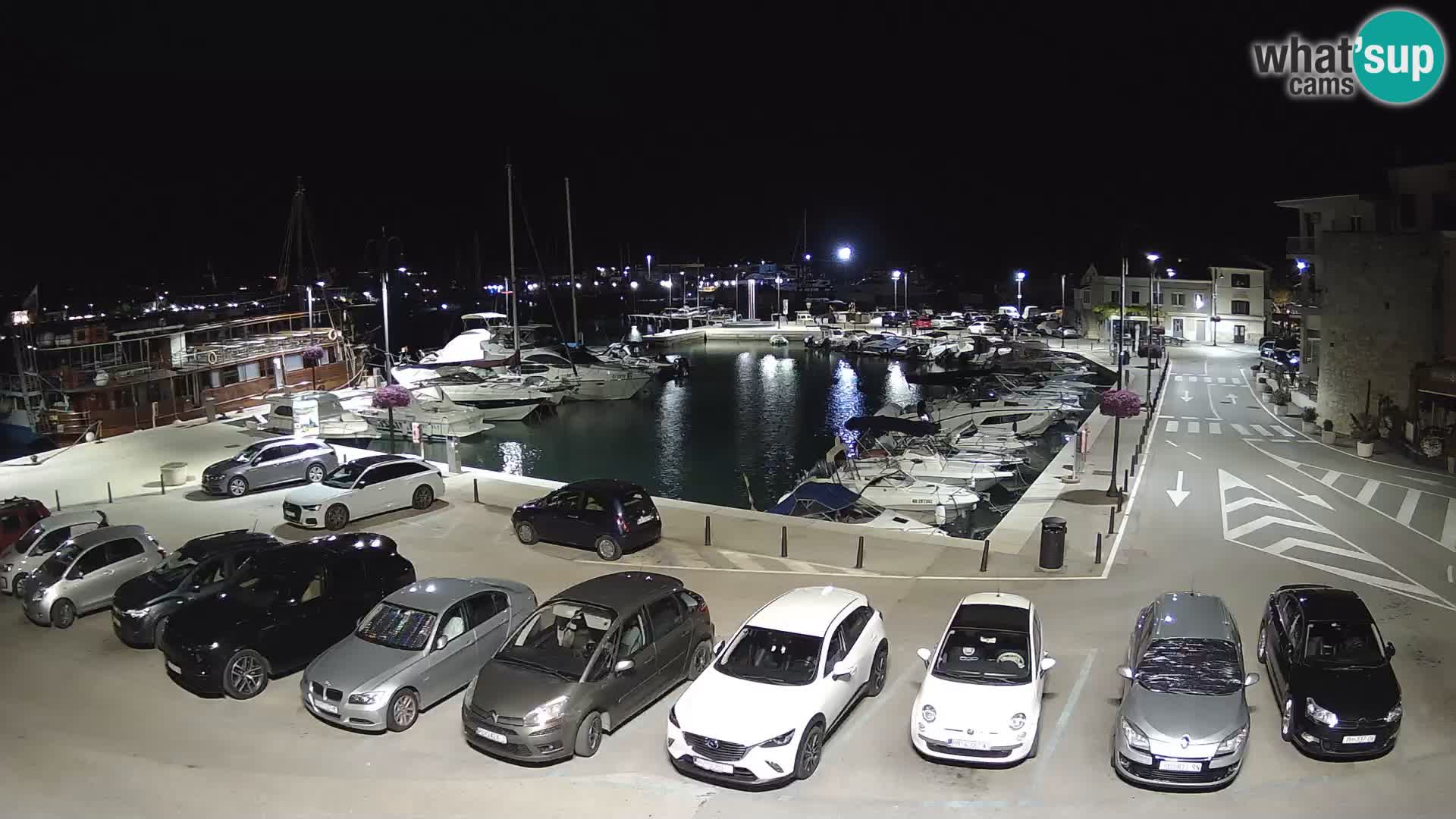 Novigrad | Porporela marina