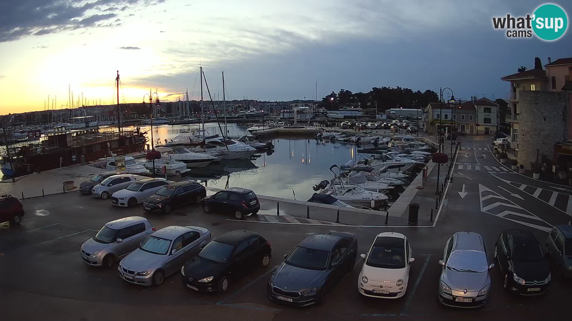 Novigrad | Porporela marina