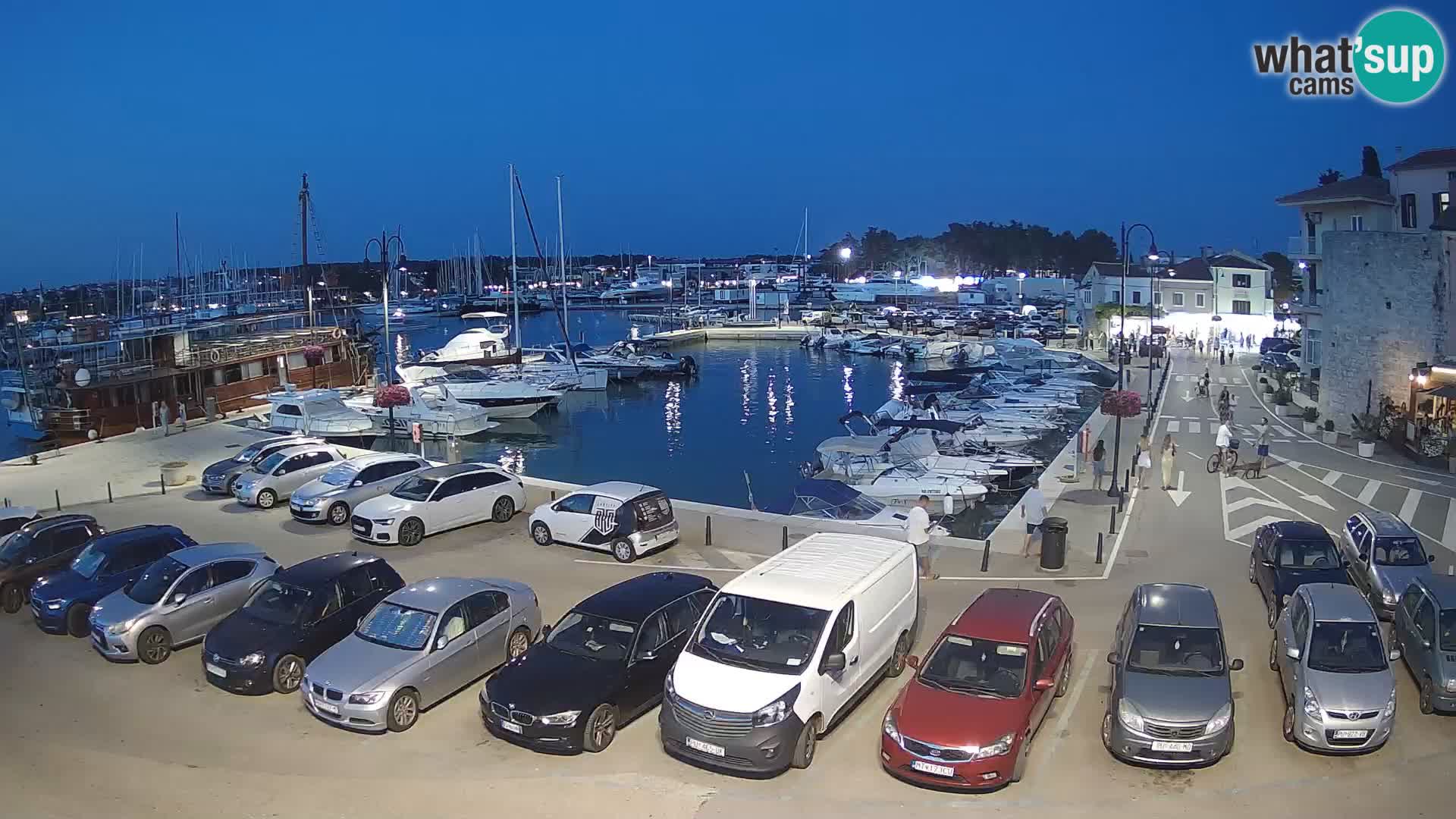 Novigrad | Porporela marina