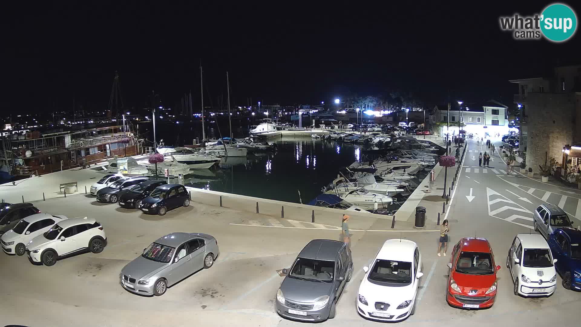 Novigrad | Porporela marina
