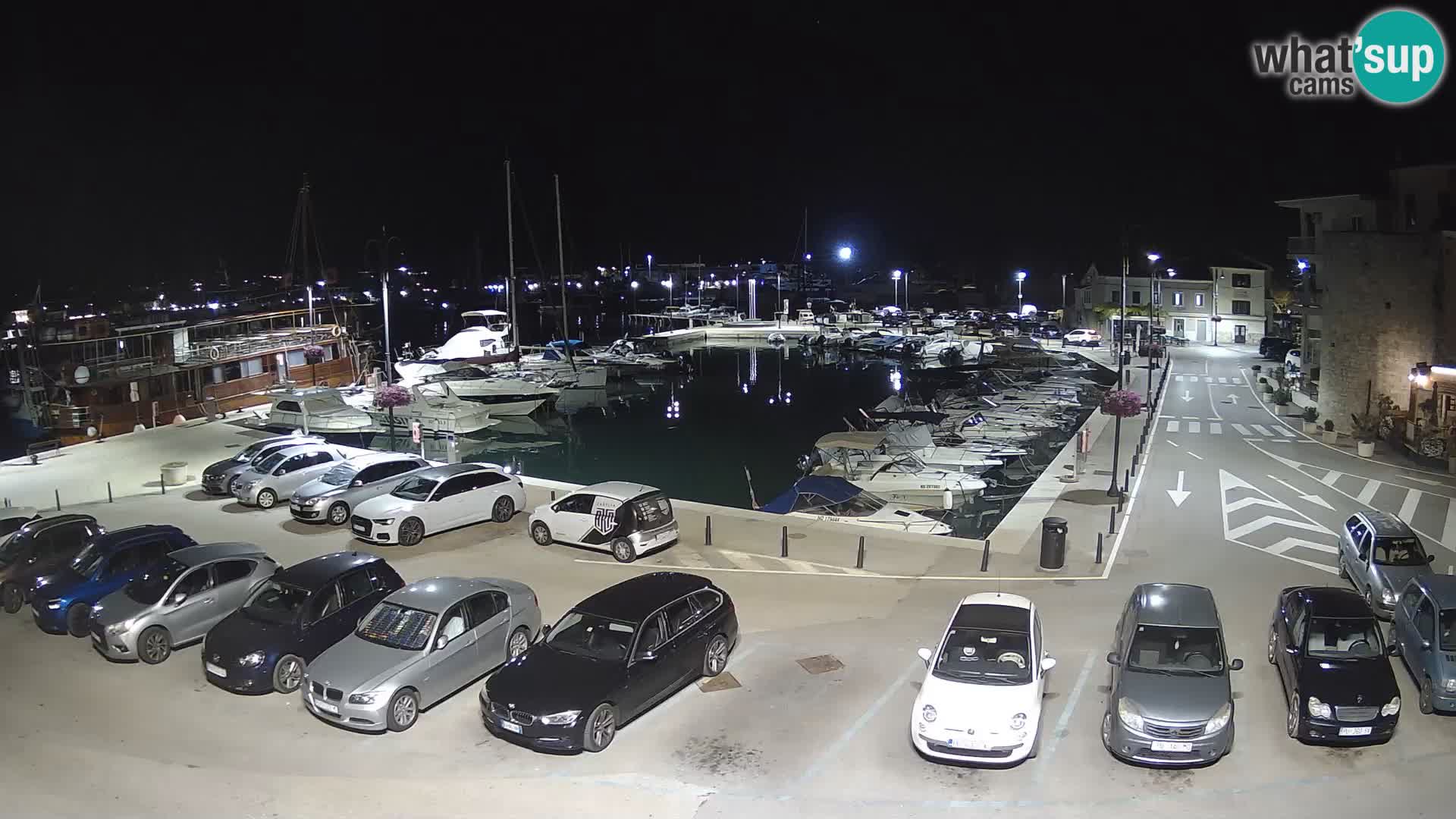 Novigrad | Porporela marina