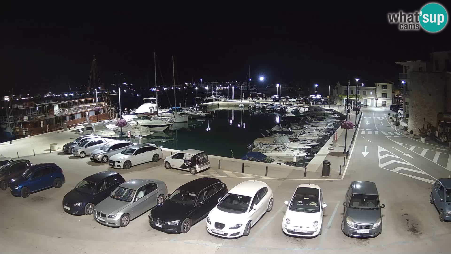 Novigrad | Porporela marina