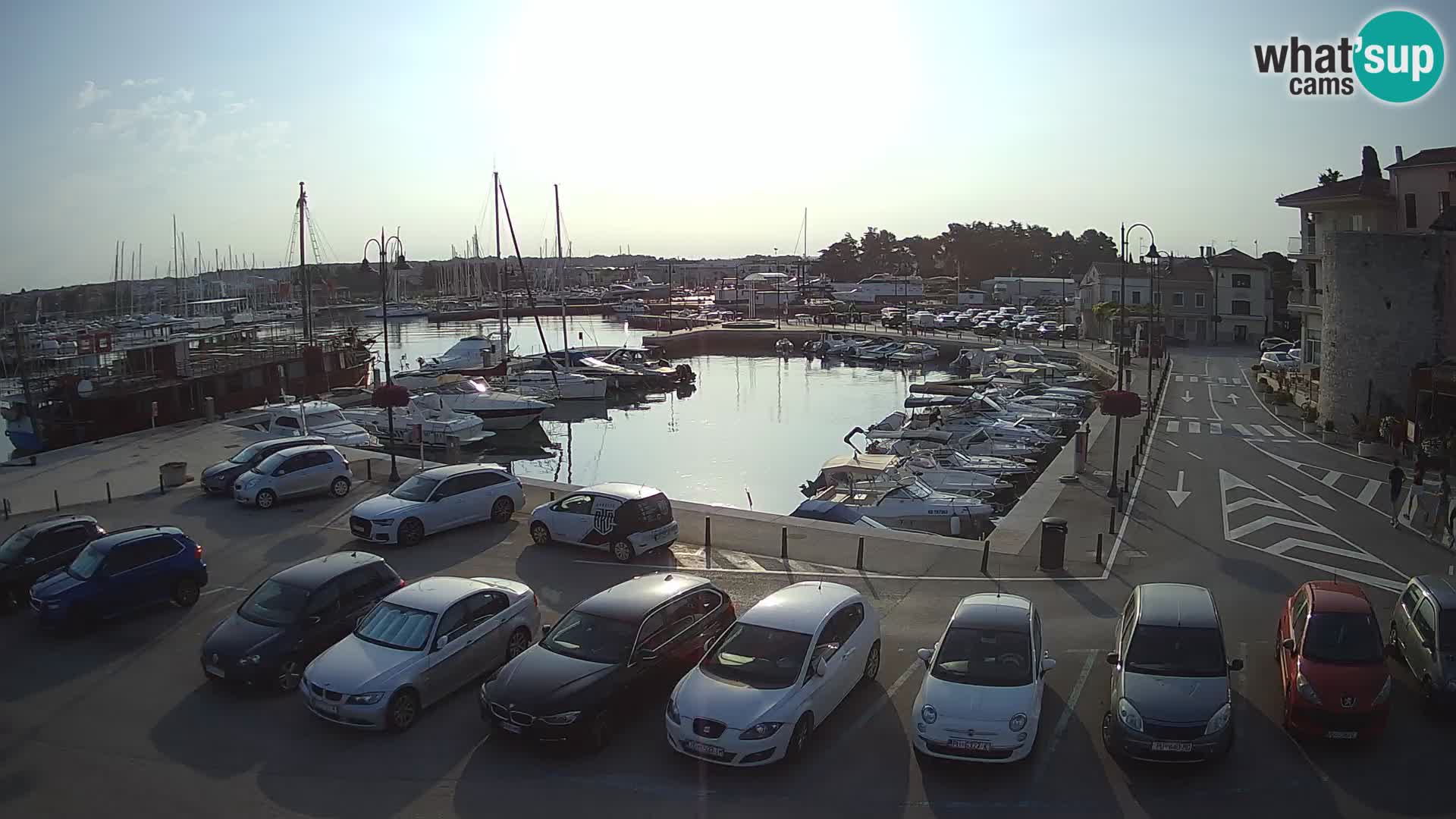 Novigrad | Porporela marina