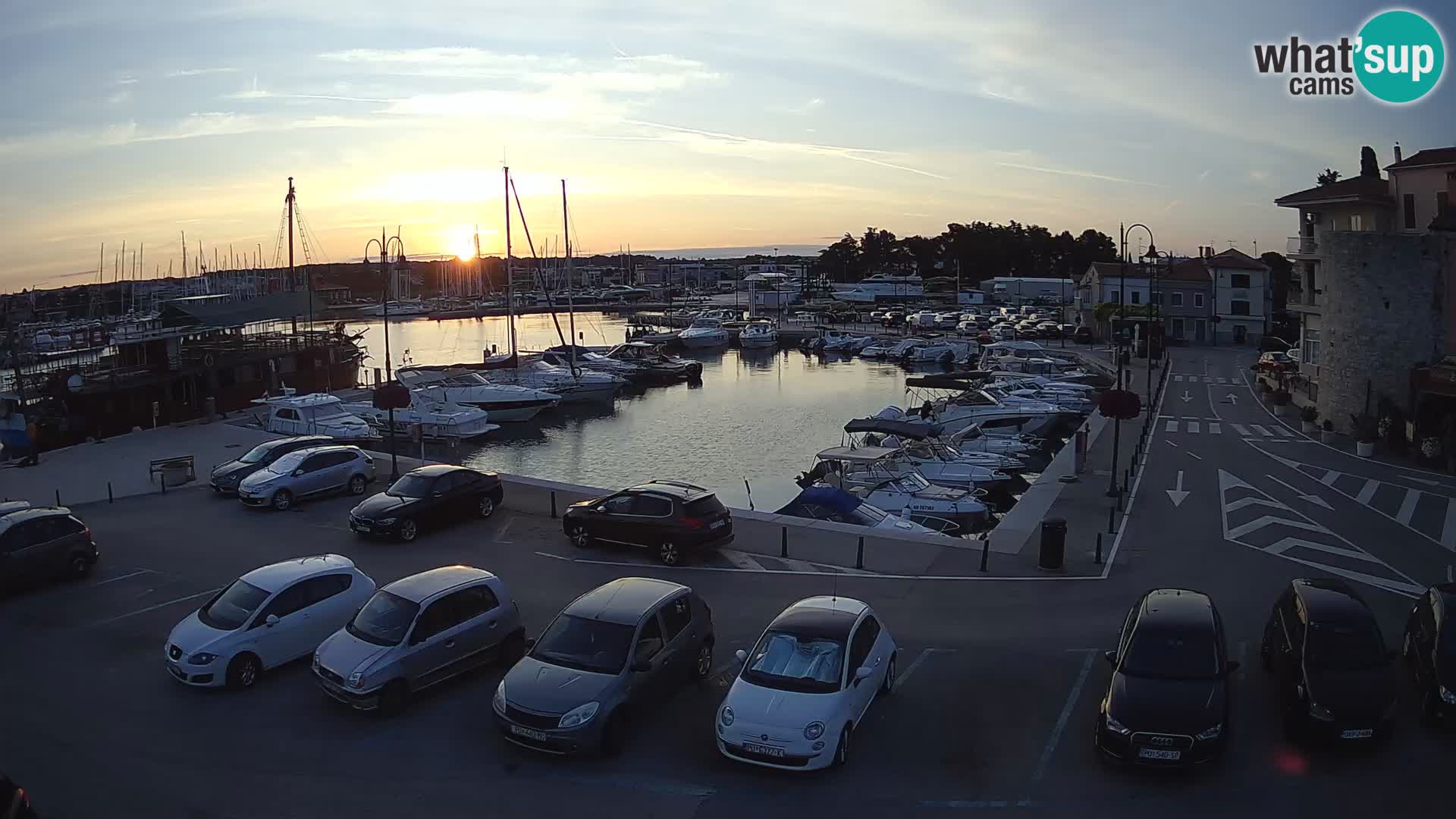 Novigrad | Porporela marina