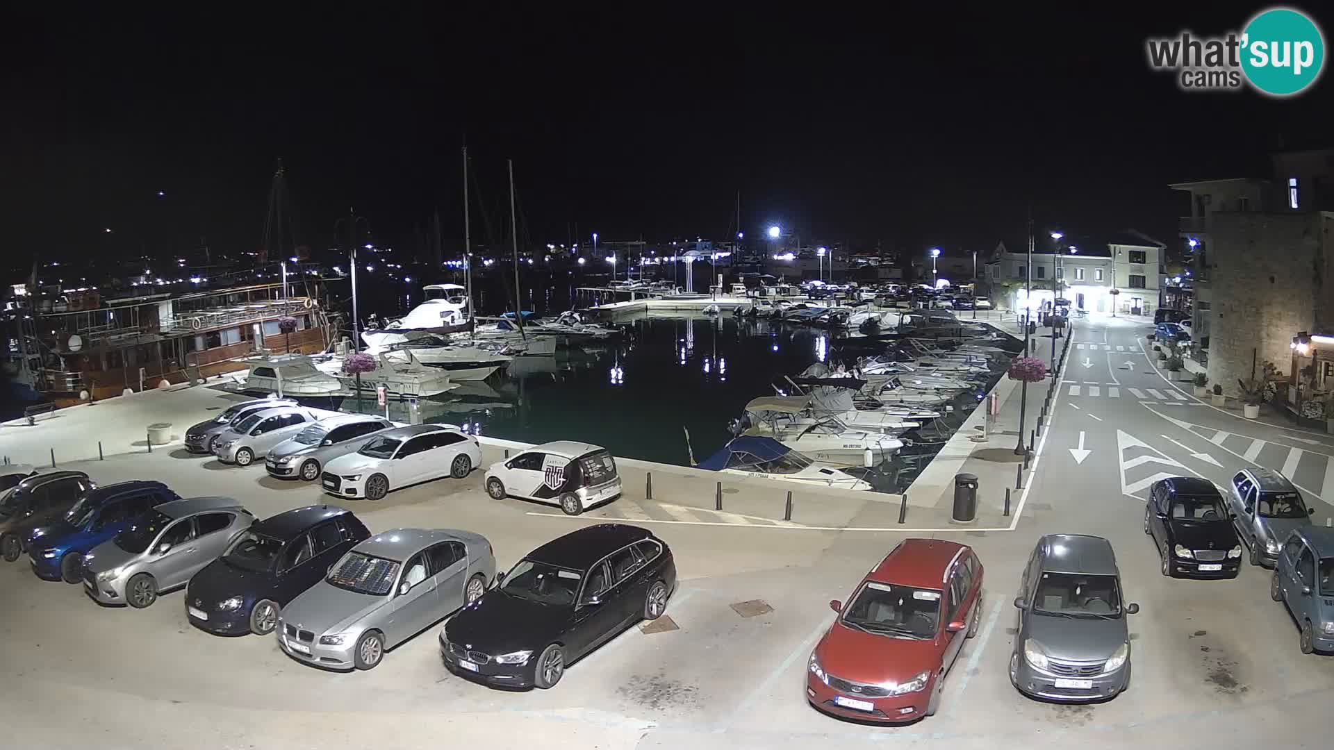 Novigrad | Porporela marina