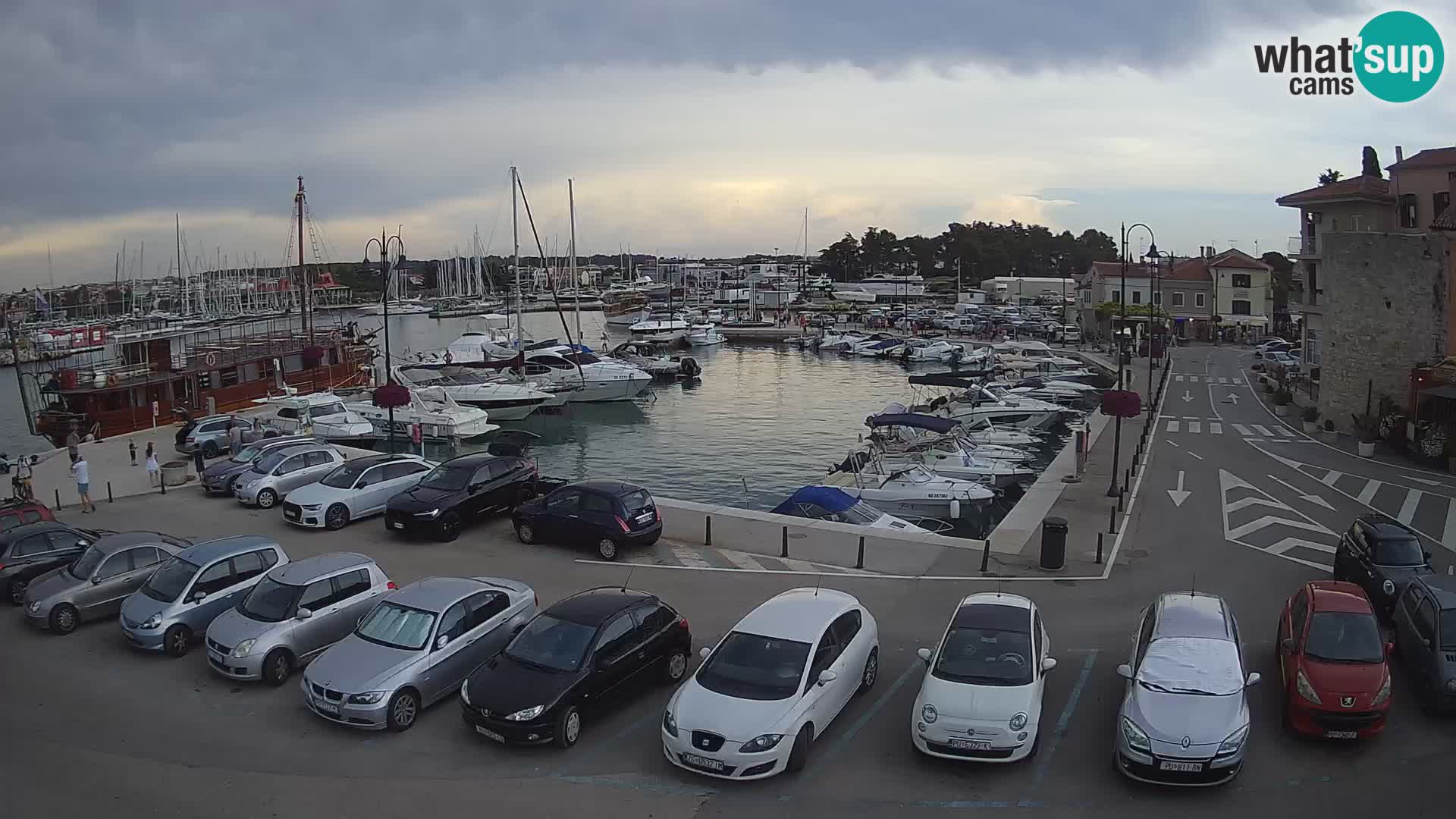 Novigrad | Porporela marina