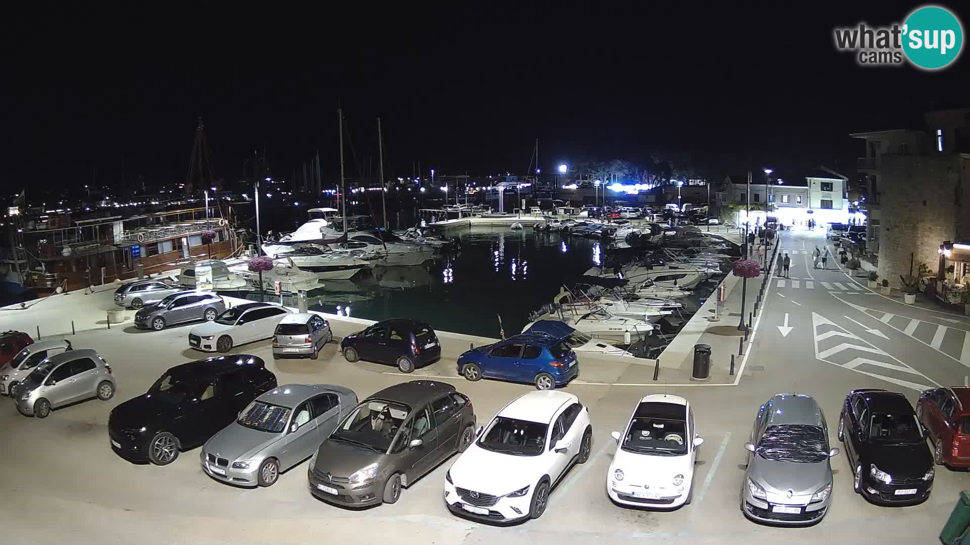 Novigrad | Porporela marina