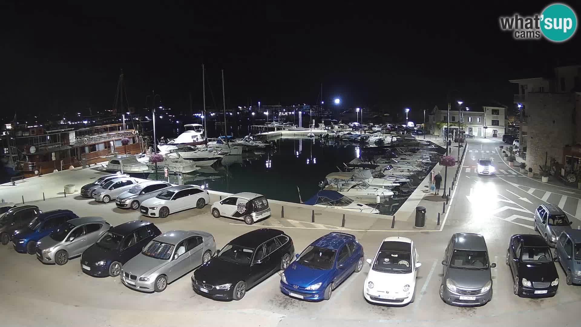 Novigrad | Porporela marina