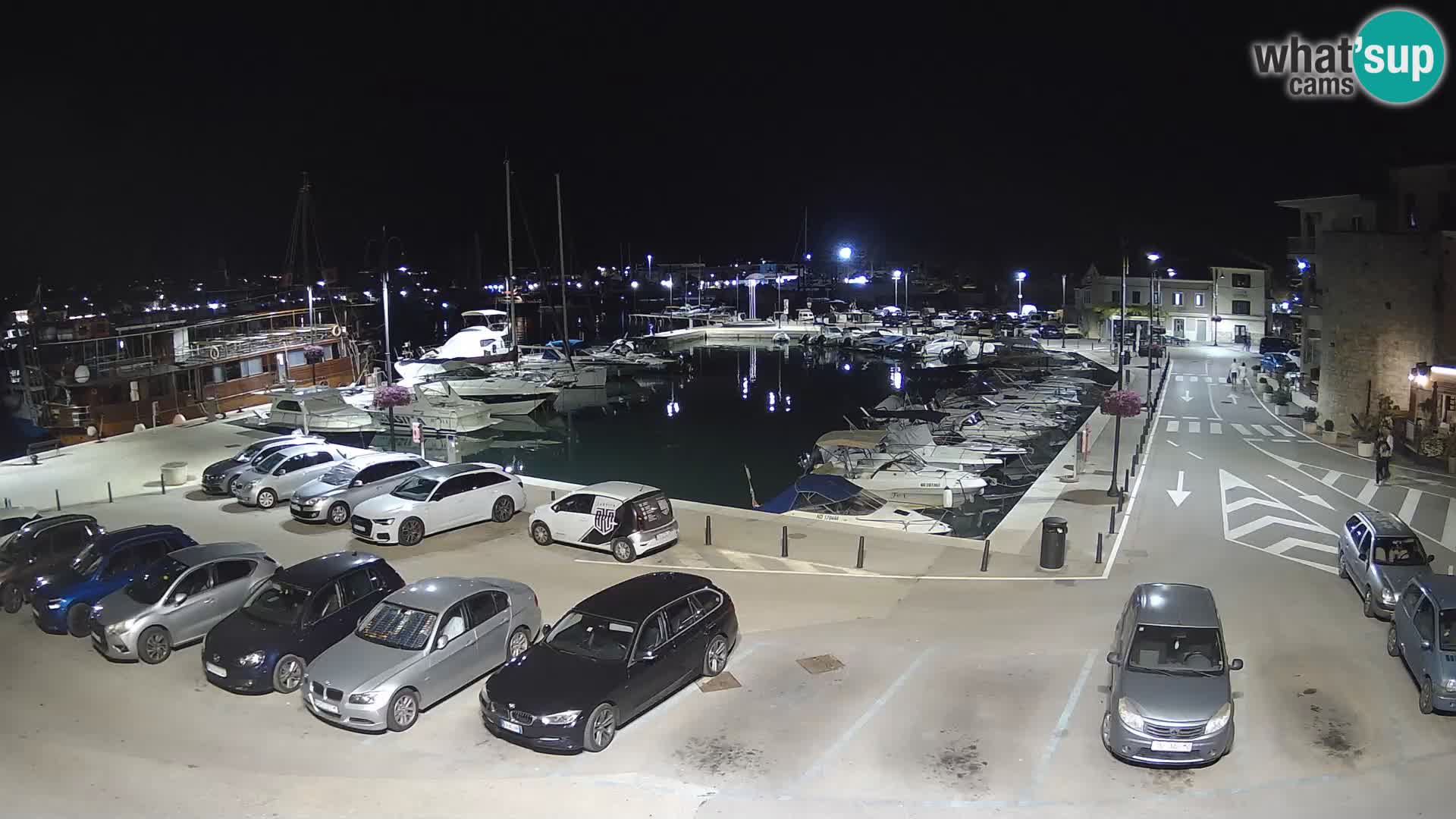 Novigrad | Porporela marina