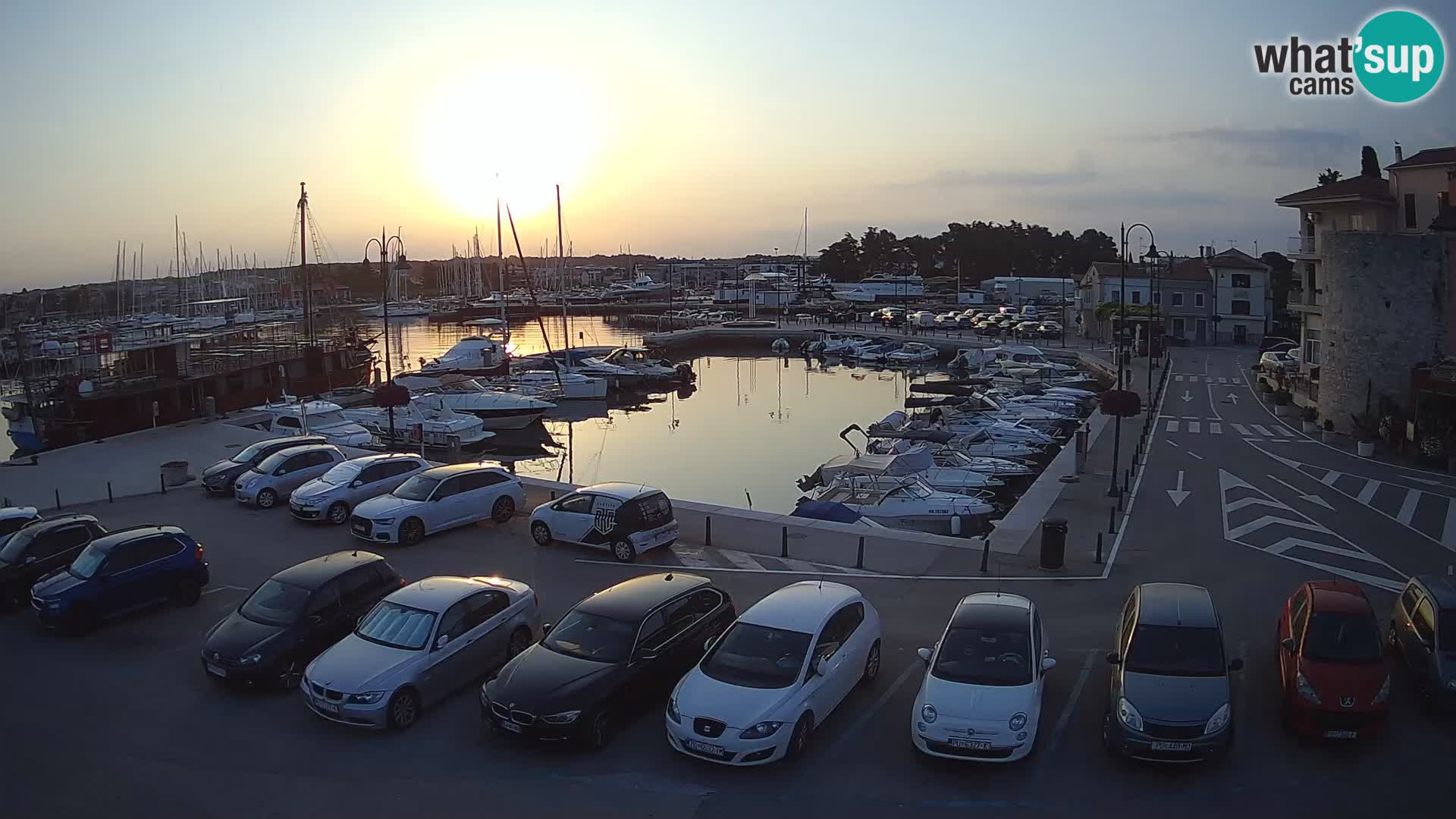 Novigrad | Porporela marina