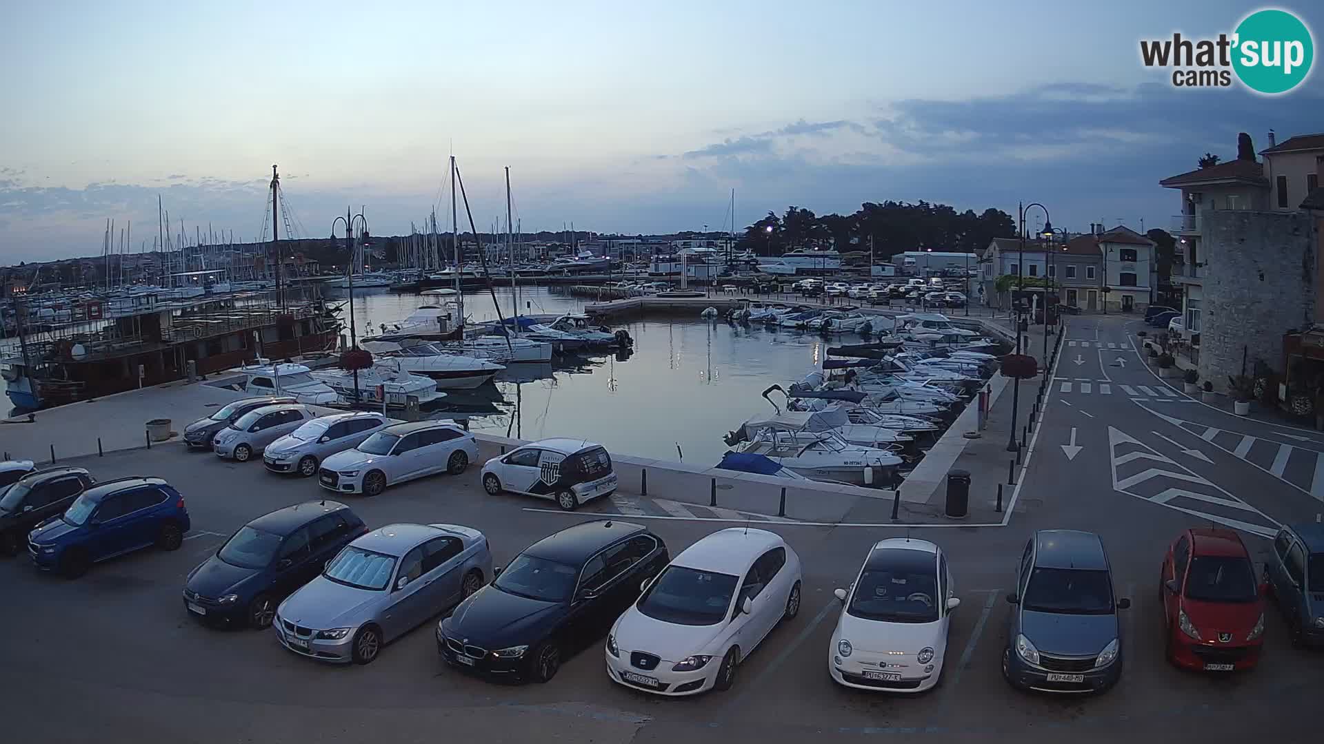 Novigrad | Porporela marina