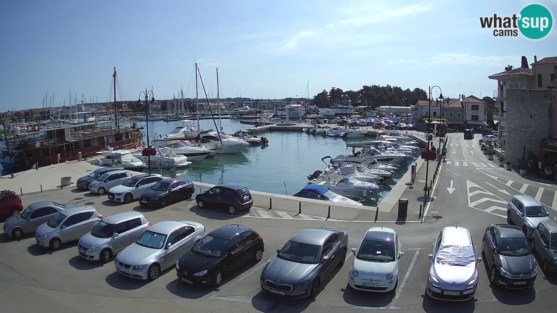 Novigrad | Porporela marina