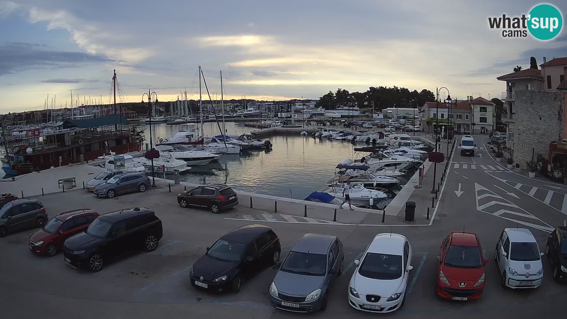 Novigrad | Porporela marina