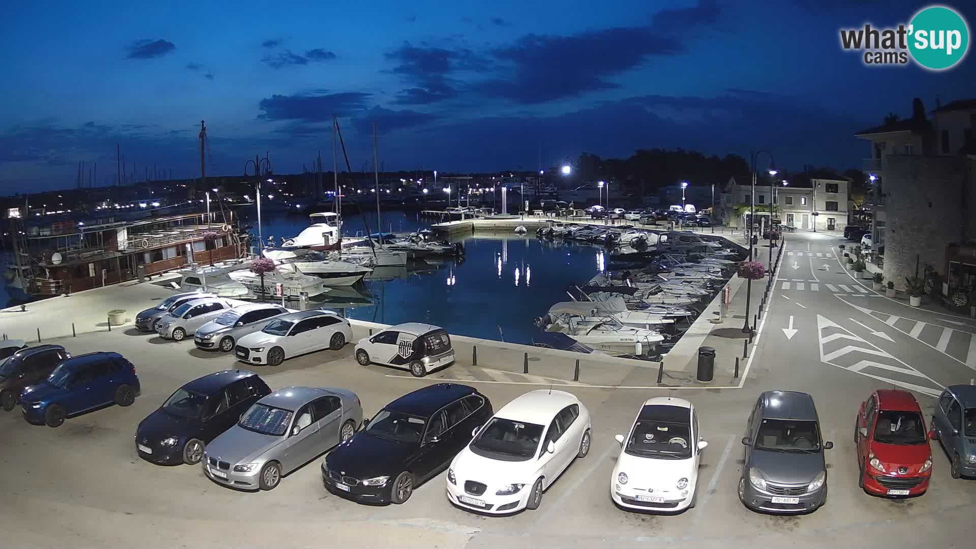 Novigrad | Porporela marina