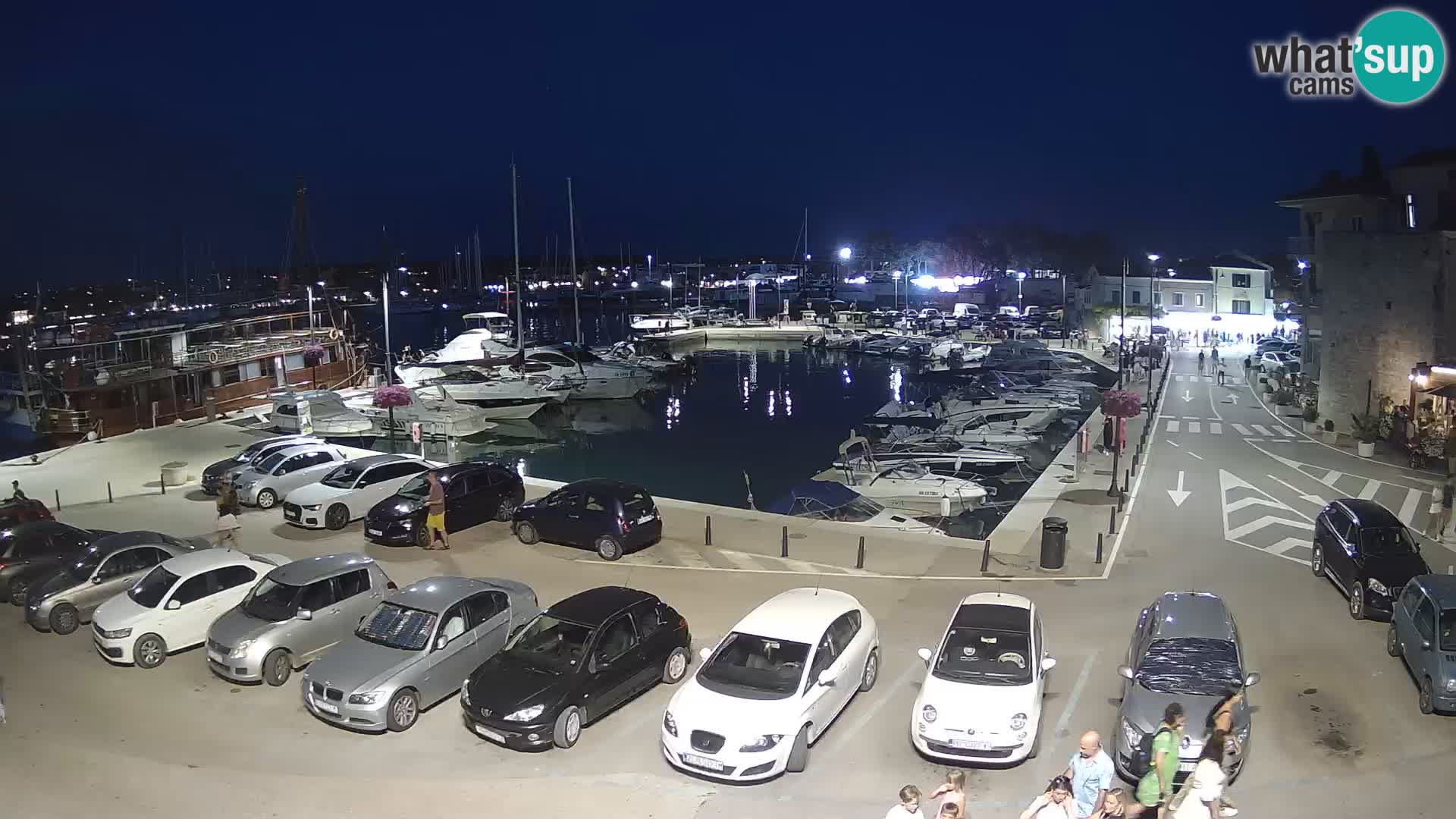 Novigrad | Porporela marina