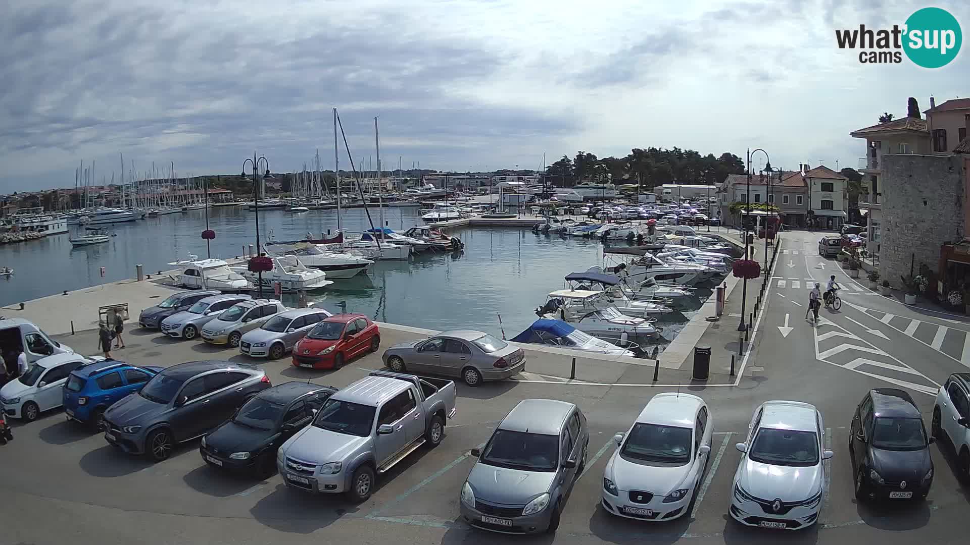 Novigrad | Porporela marina