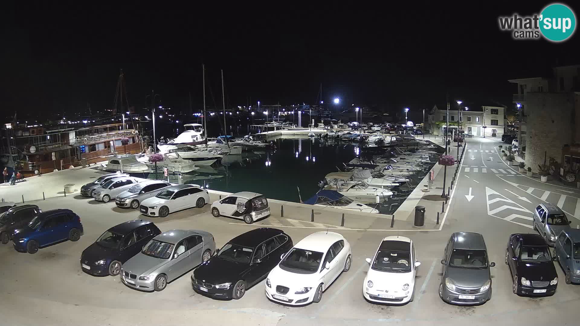 Novigrad | Porporela marina