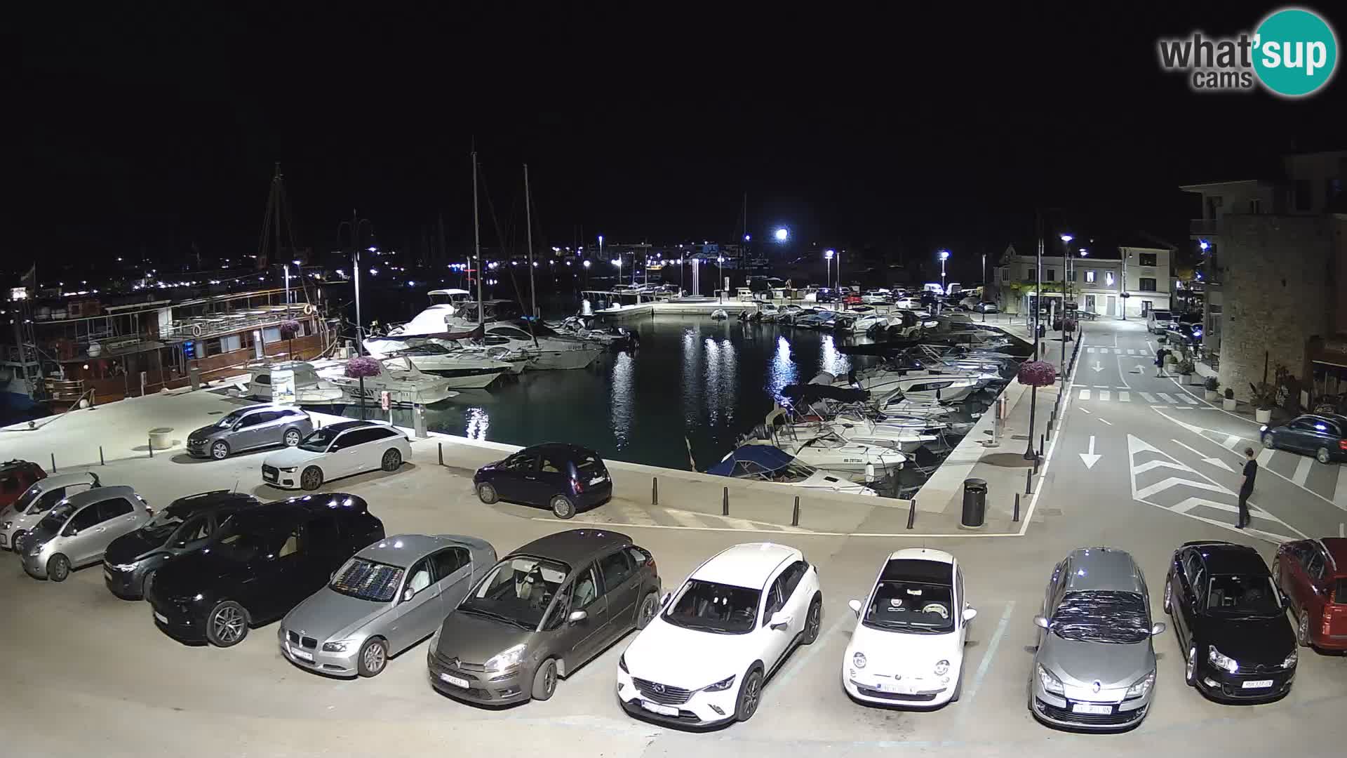 Novigrad | Porporela marina