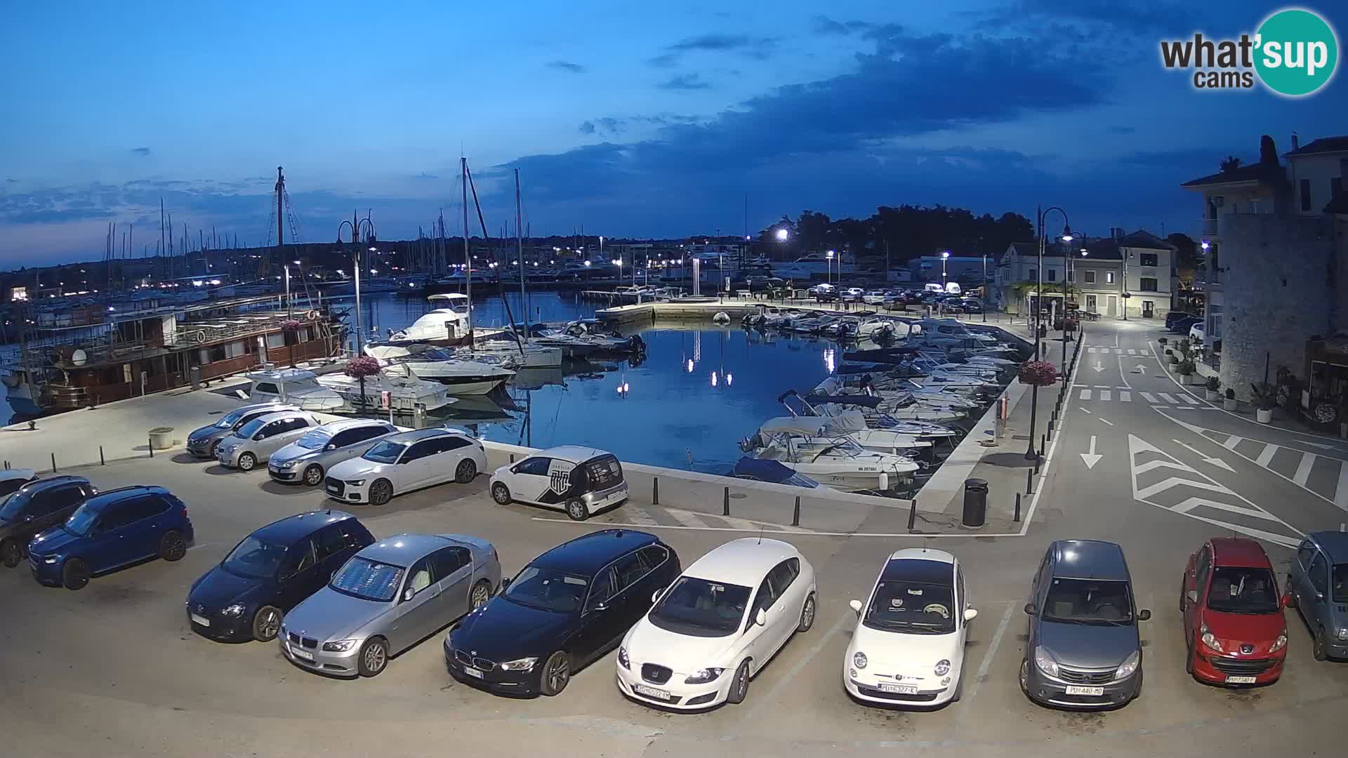 Novigrad | Porporela marina