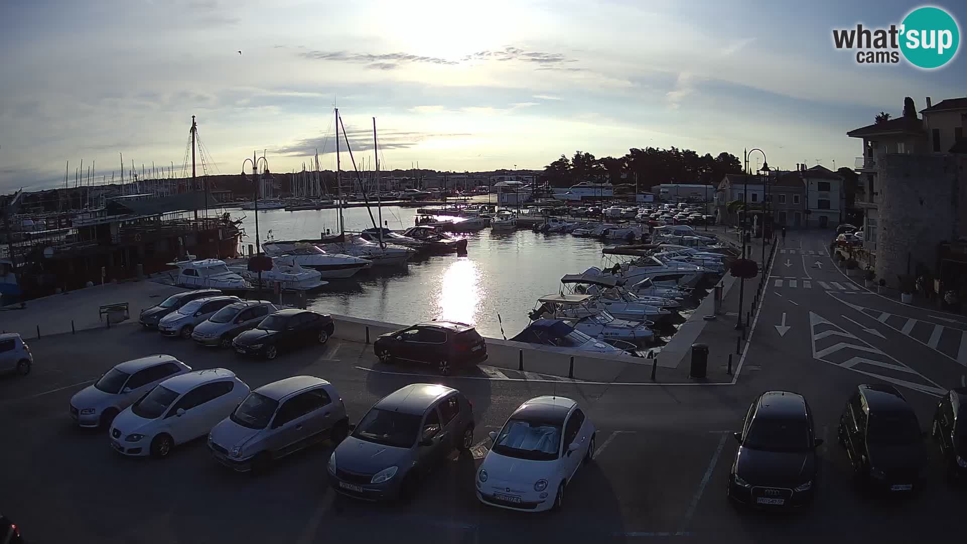 Novigrad | Porporela marina