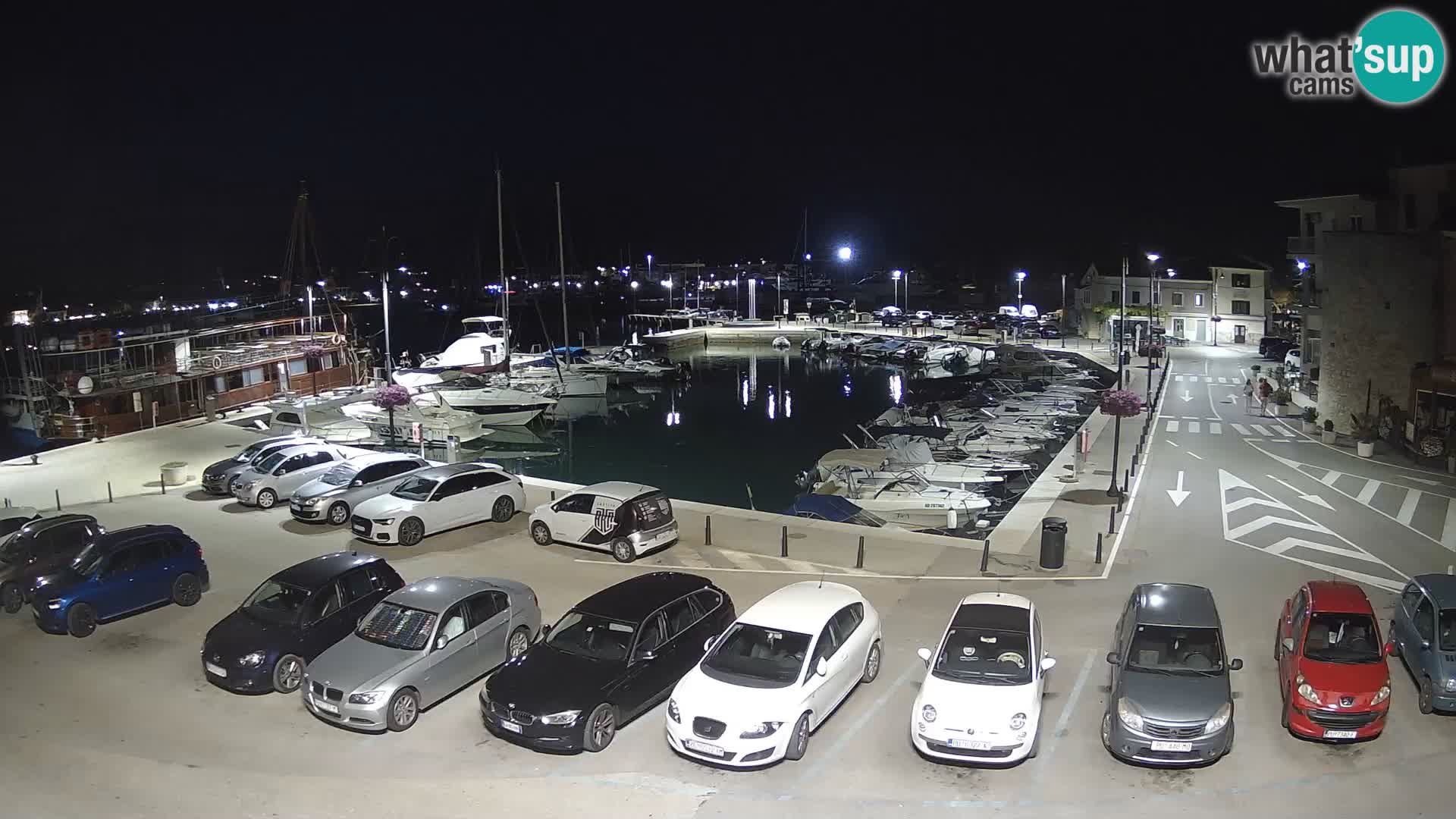 Novigrad | Porporela marina