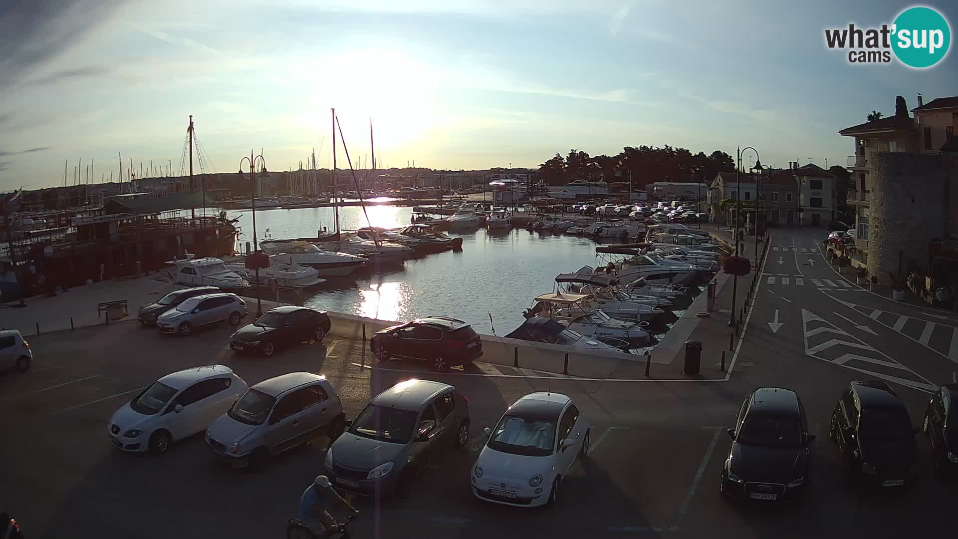 Novigrad | Porporela marina