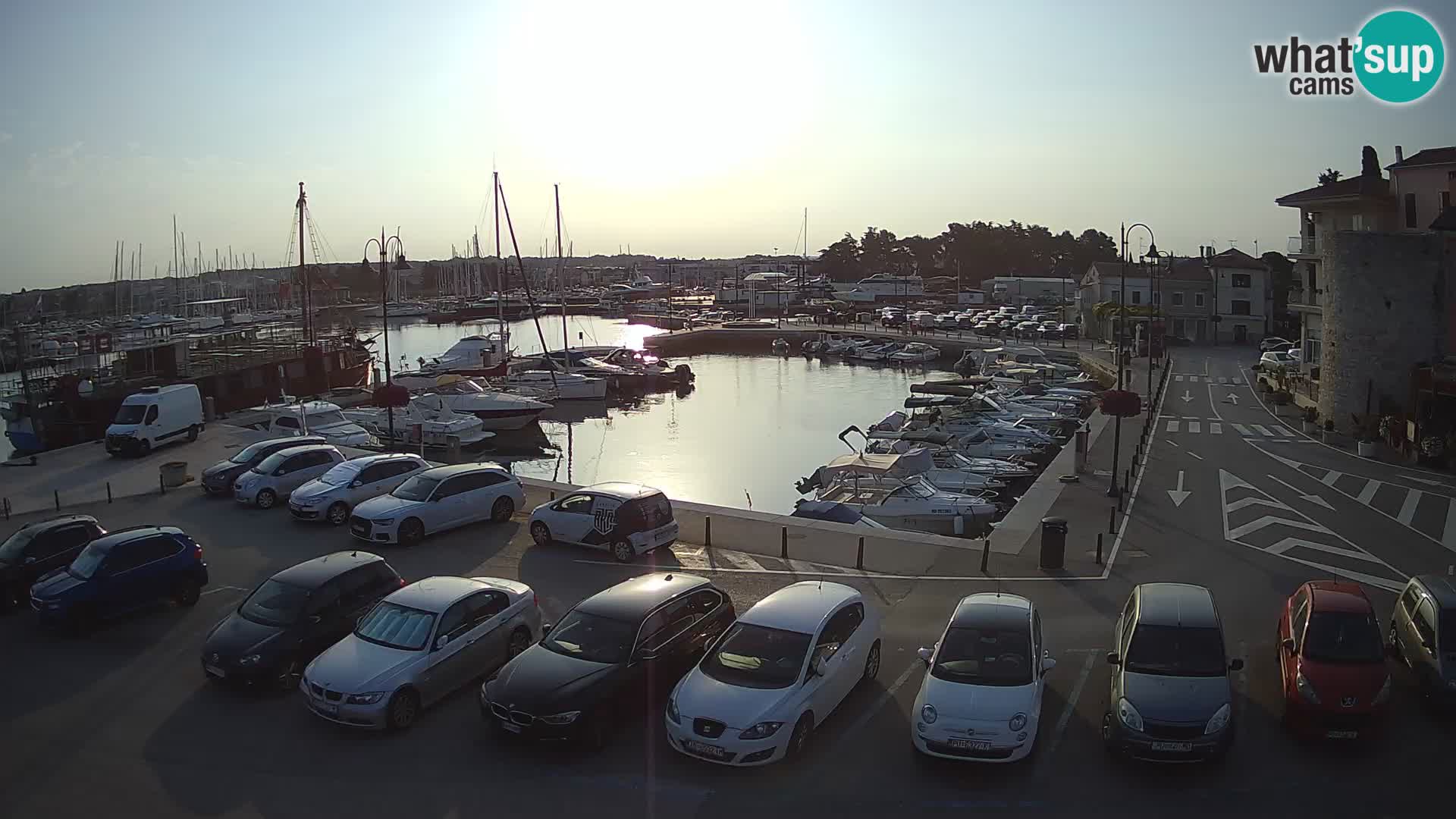 Novigrad | Porporela marina