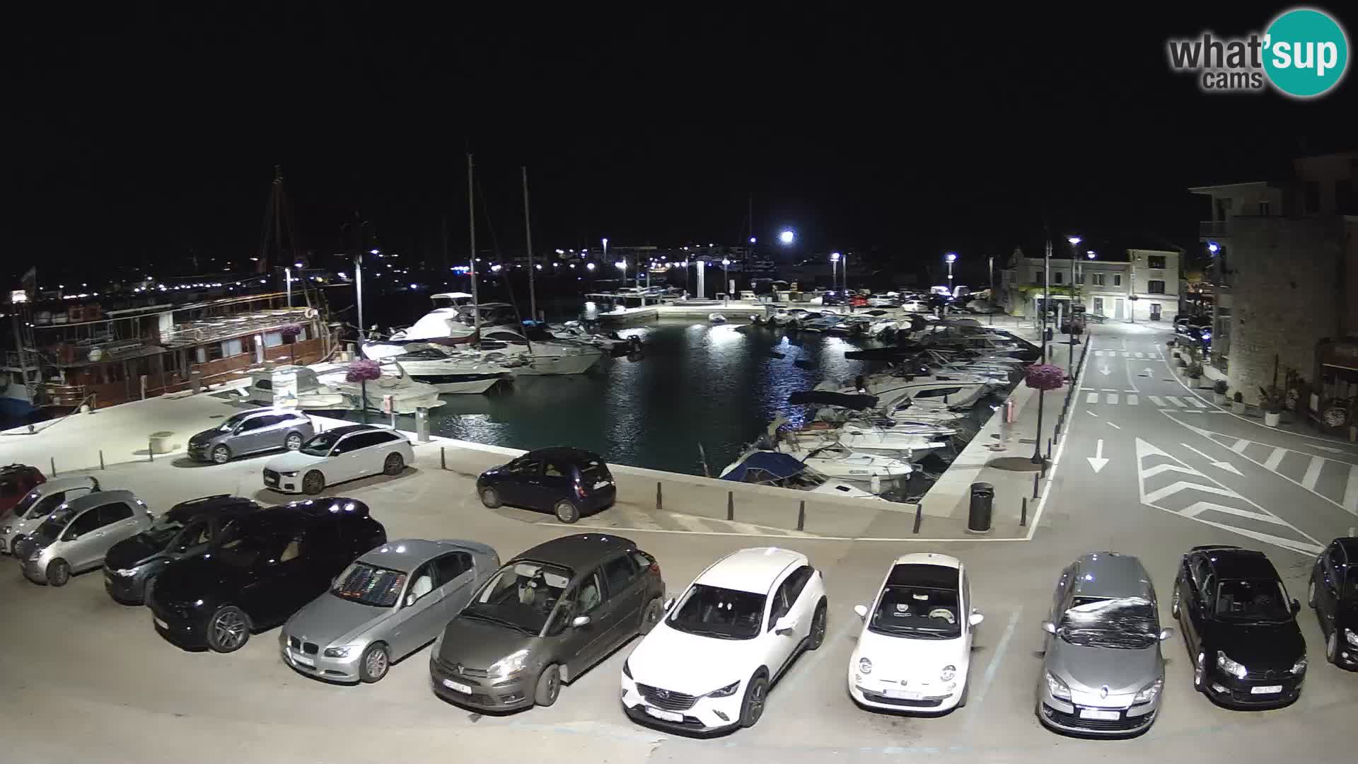 Novigrad | Porporela marina