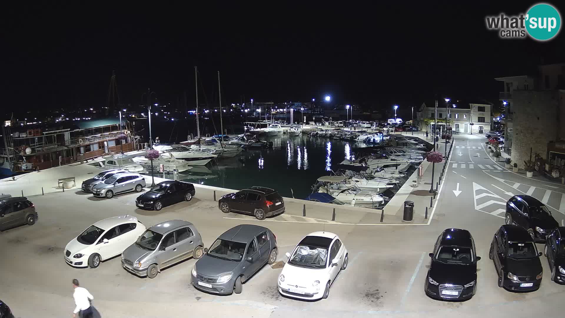 Novigrad | Porporela marina