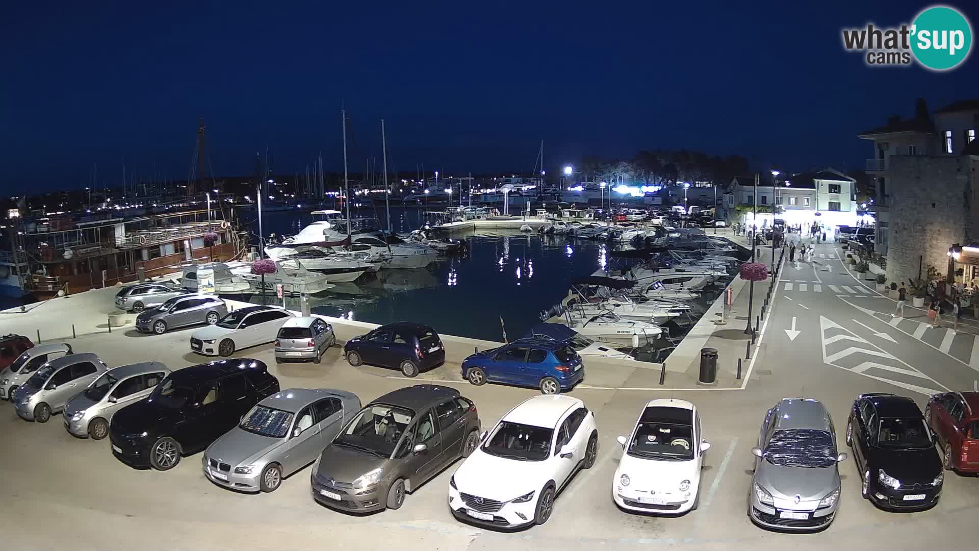 Novigrad | Porporela marina