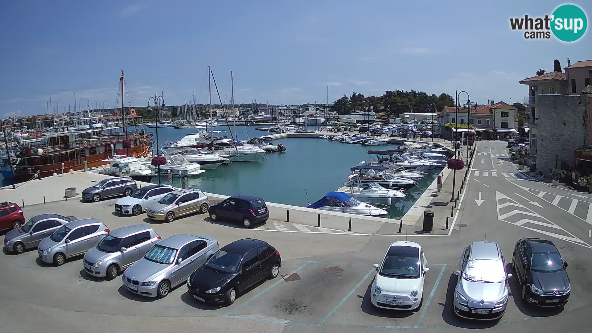 Novigrad | Porporela marina