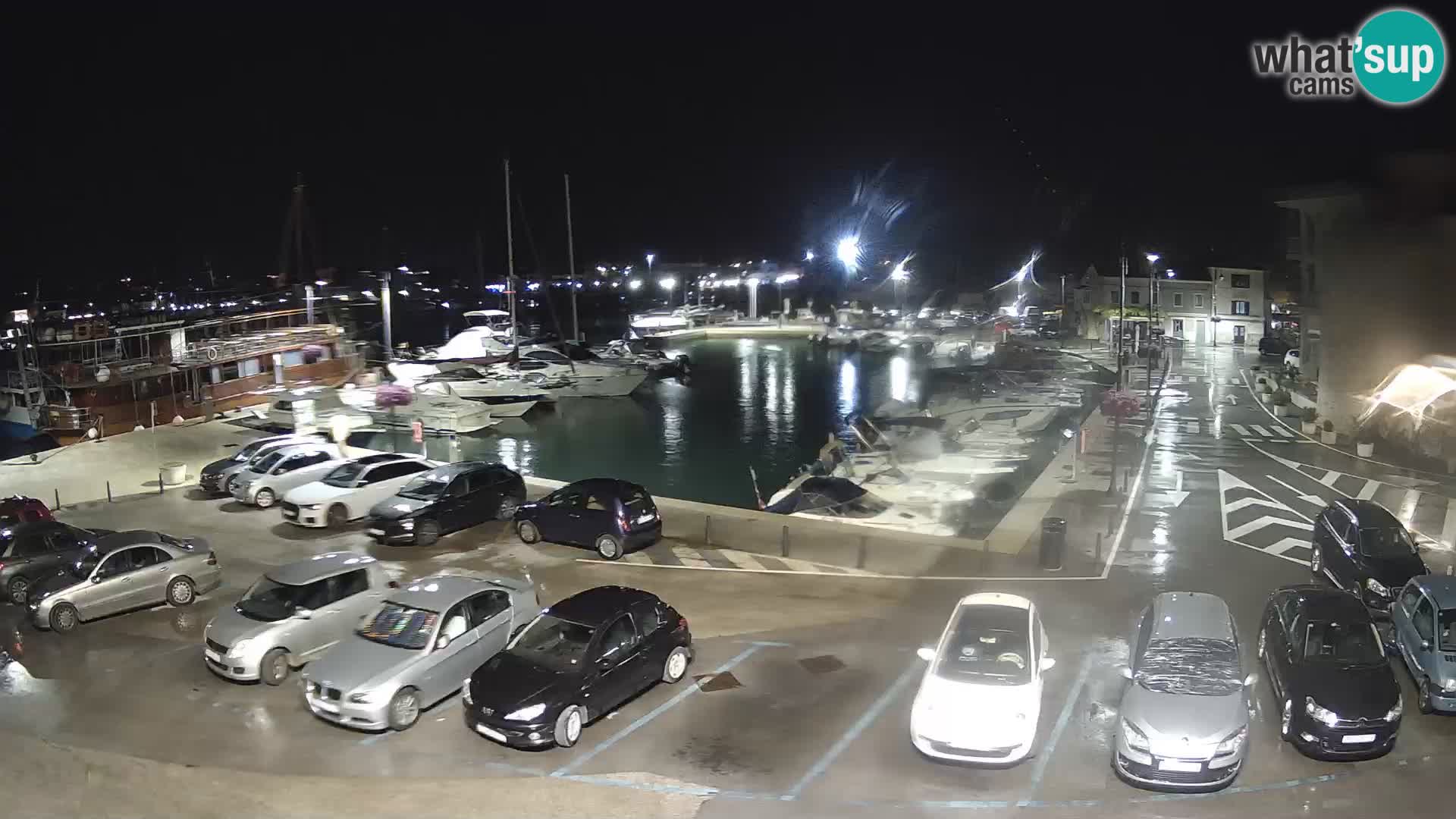 Novigrad | Porporela marina