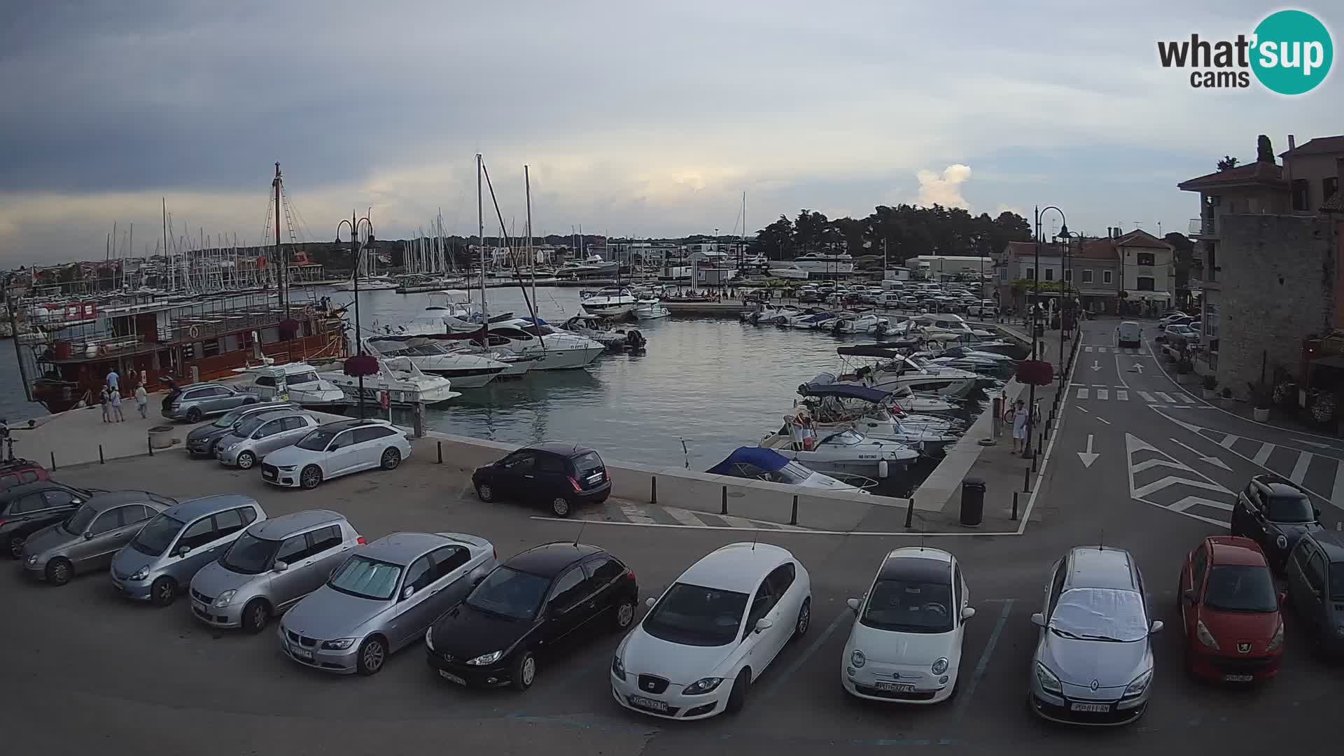 Novigrad | Porporela marina