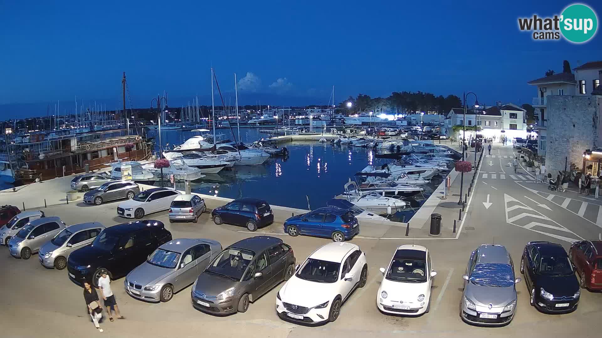Novigrad | Porporela marina