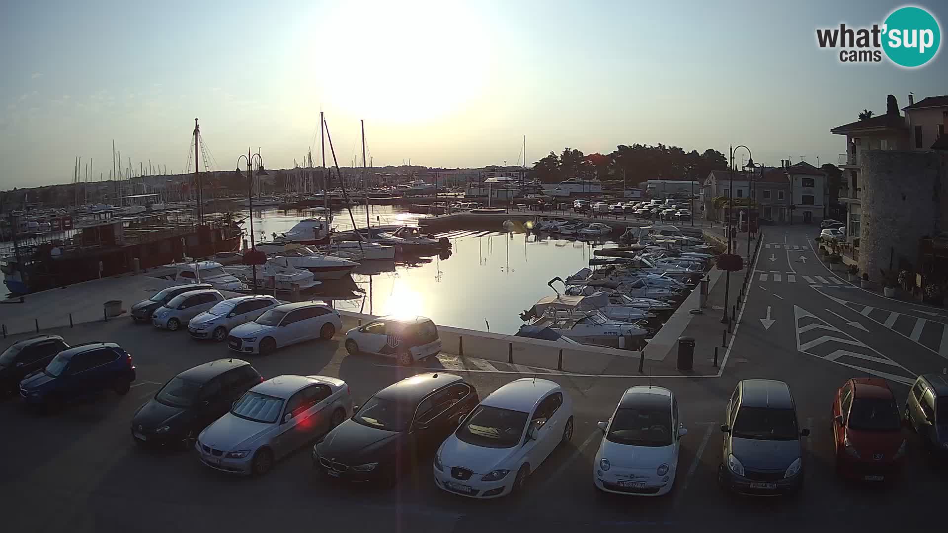 Novigrad | Porporela marina