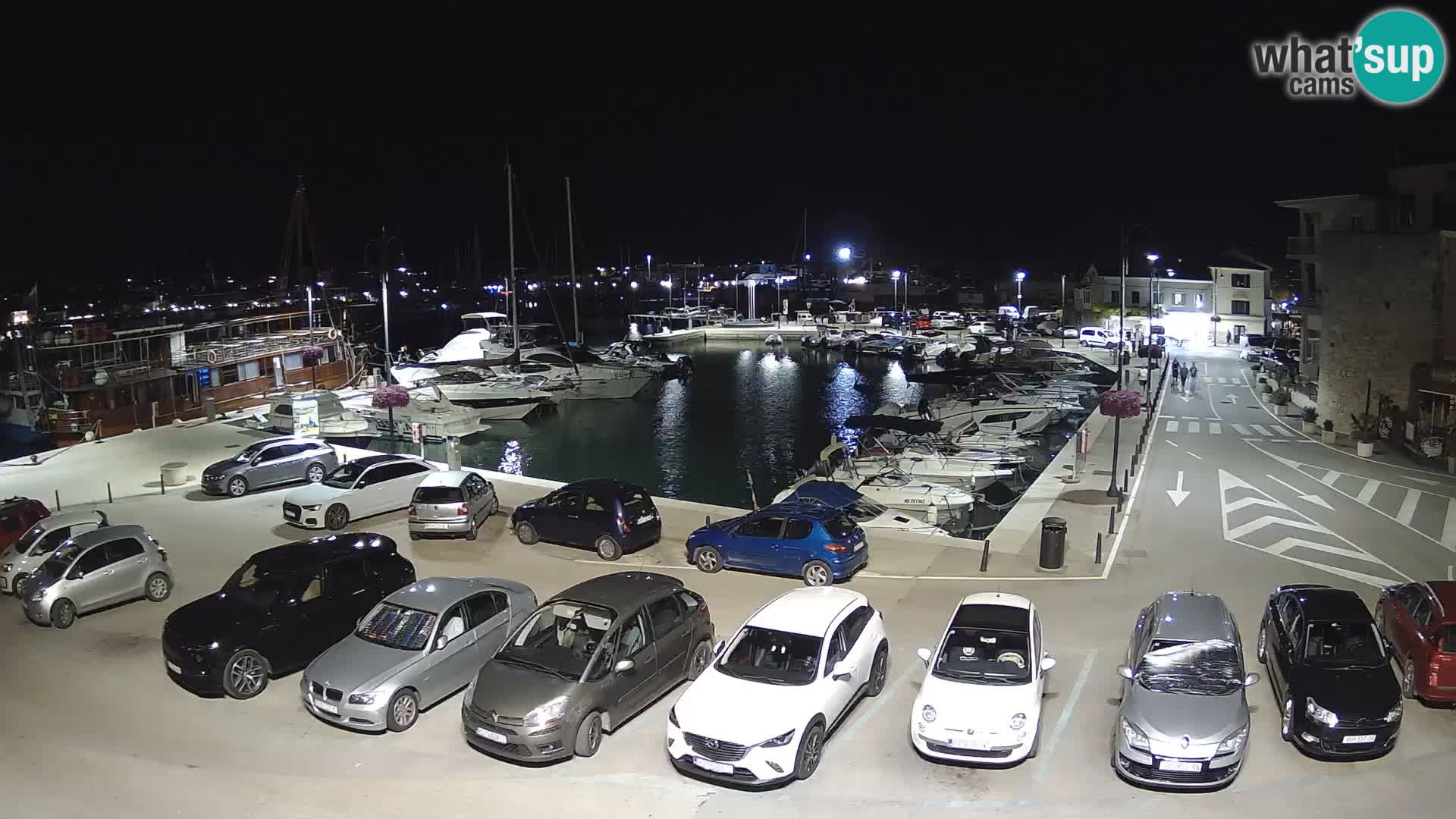 Novigrad | Porporela marina