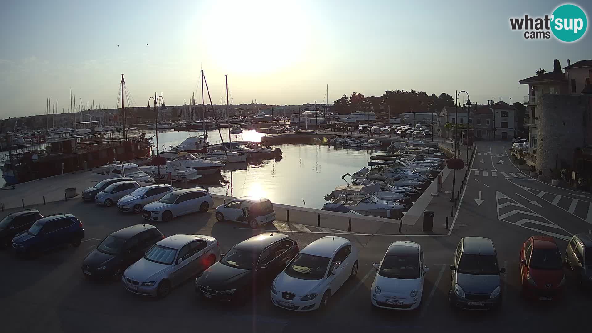 Novigrad | Porporela marina