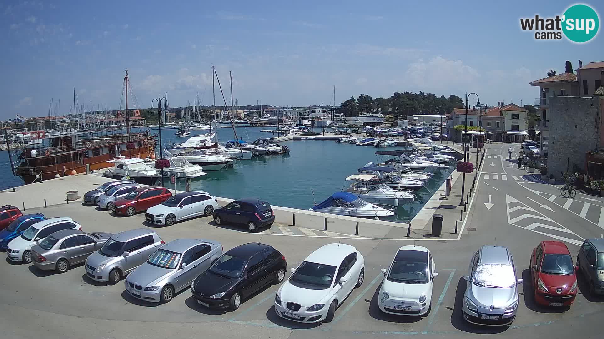 Novigrad | Porporela marina