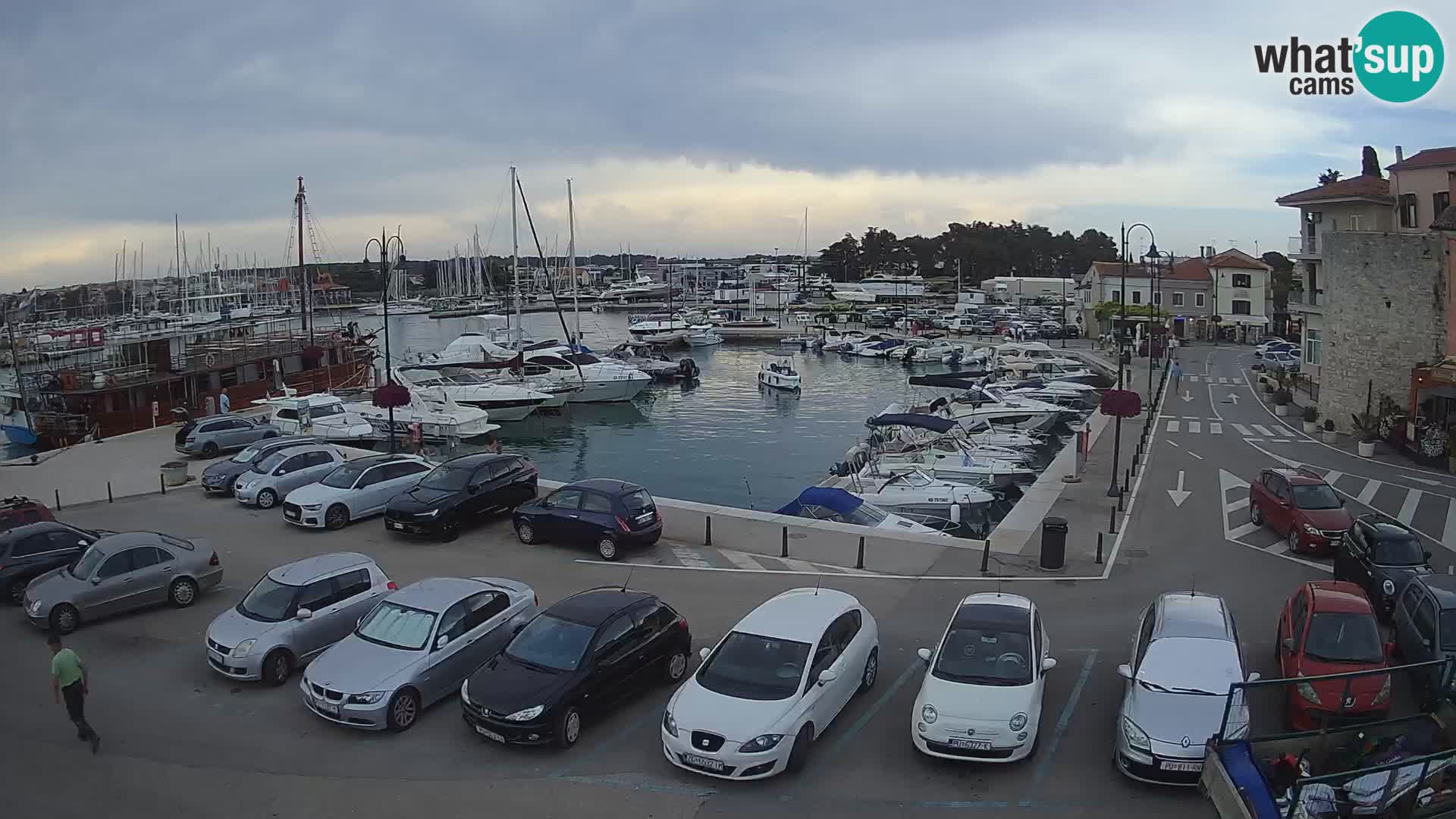 Novigrad | Porporela marina