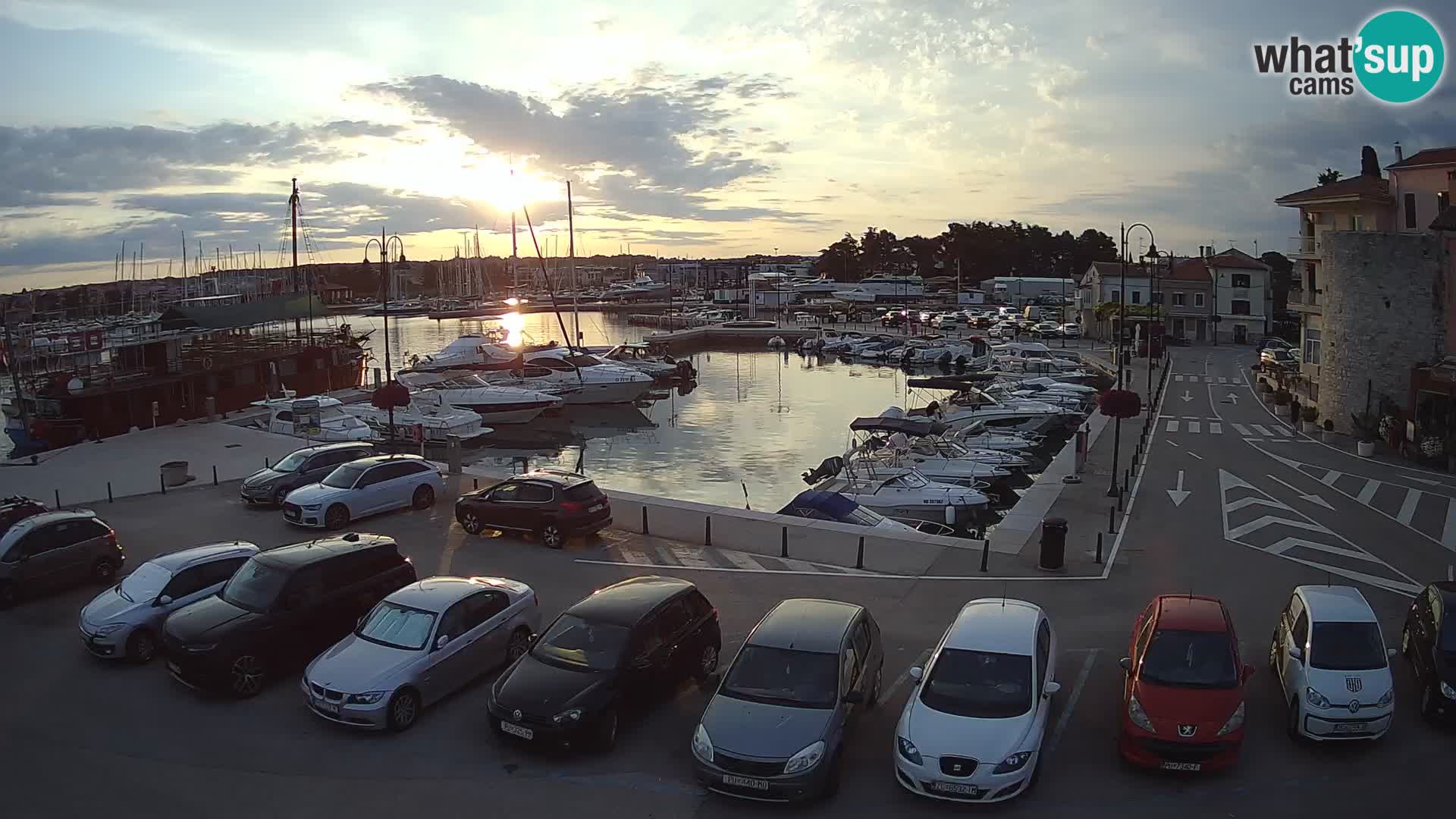 Novigrad | Porporela marina