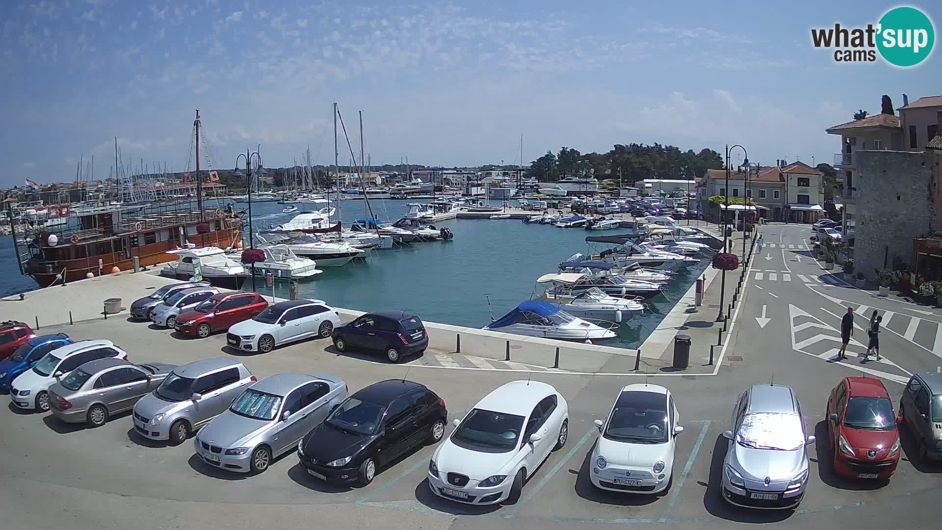 Novigrad | Porporela marina