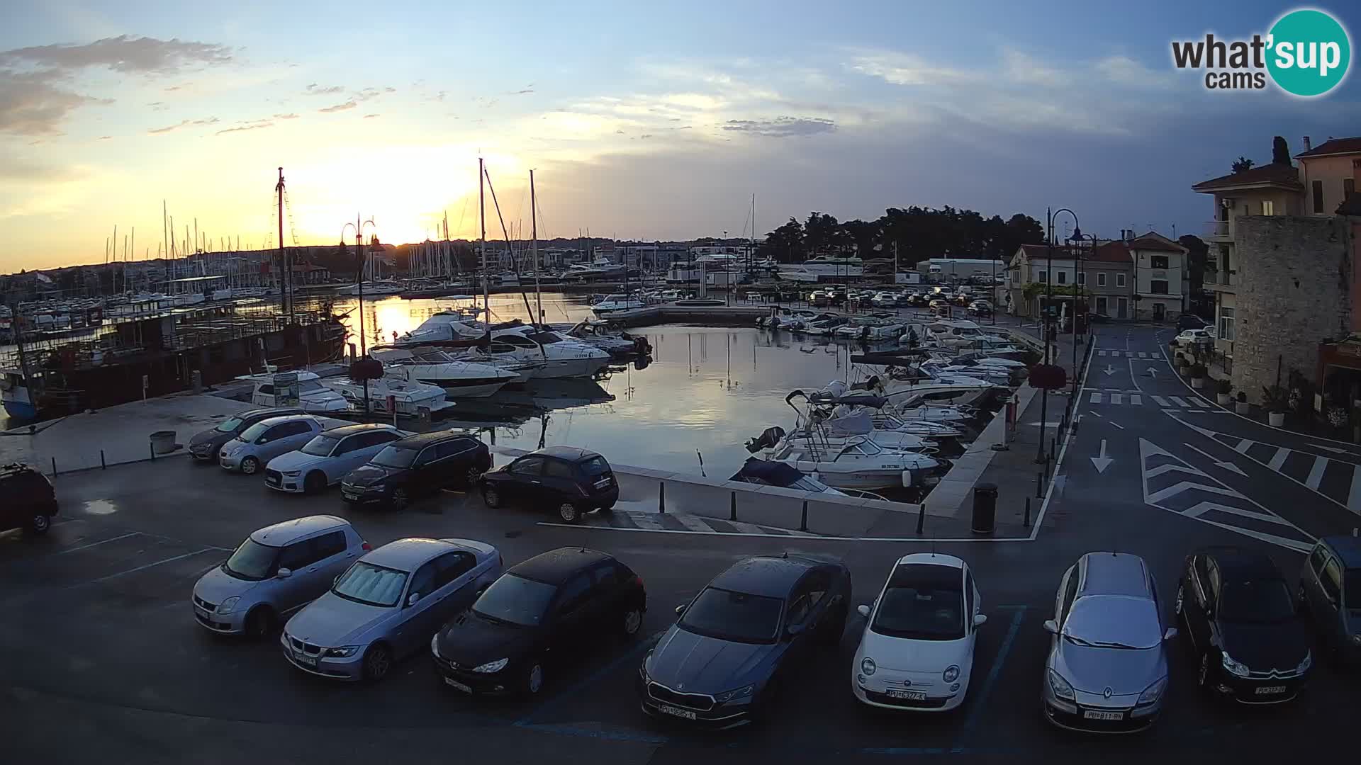 Novigrad | Porporela marina