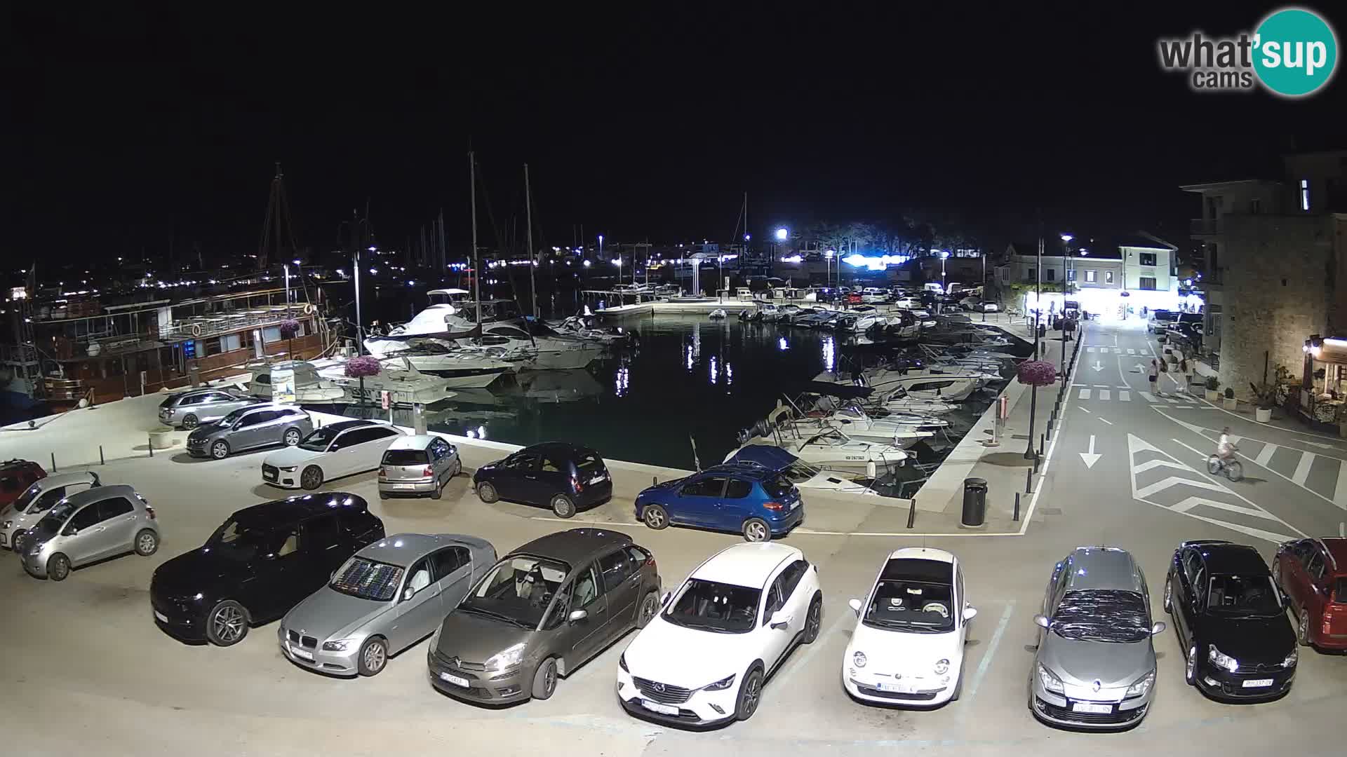 Novigrad | Porporela marina
