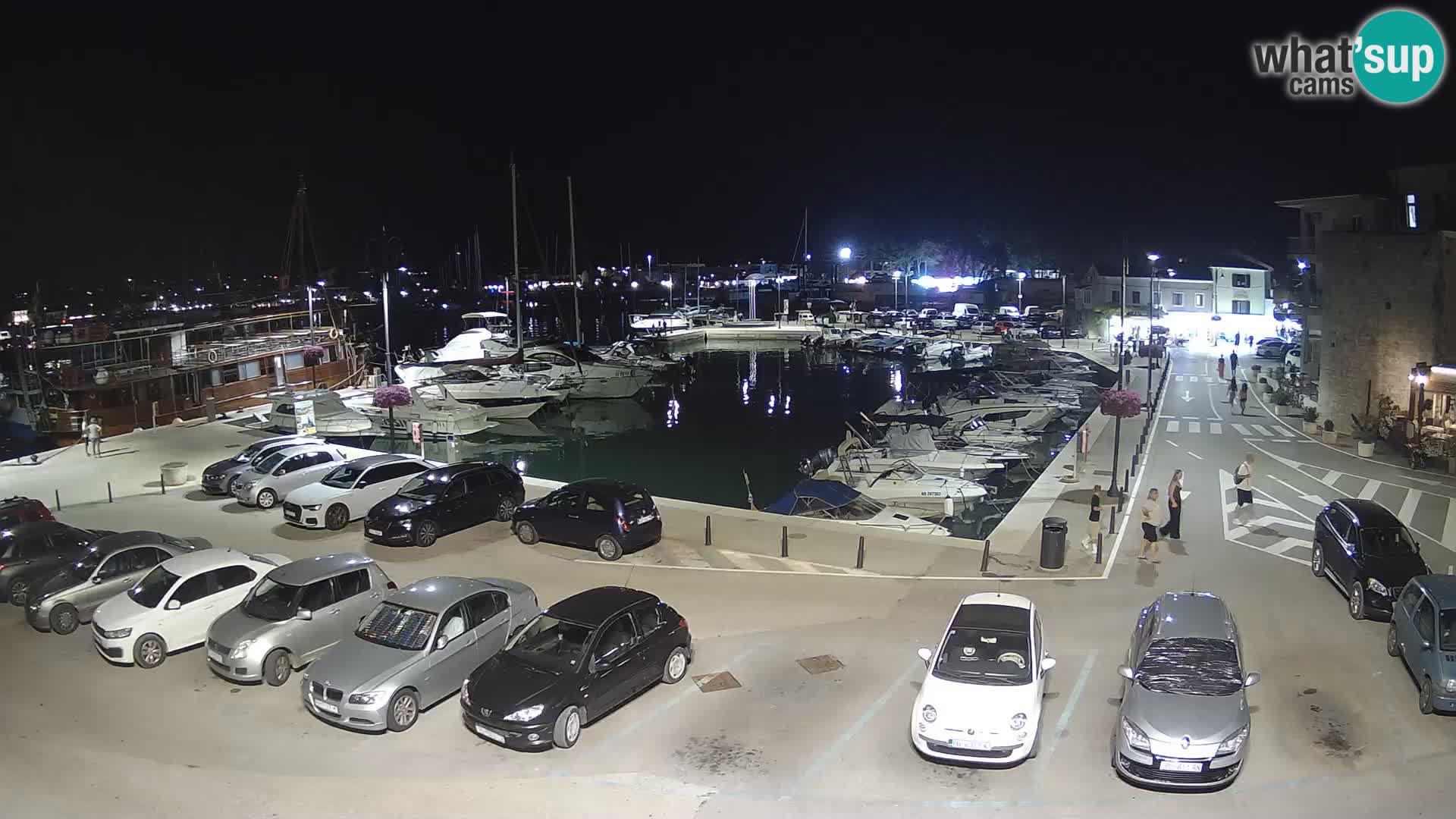 Novigrad | Porporela marina