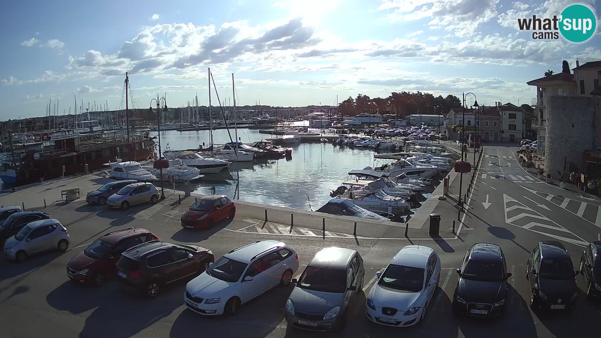 Novigrad | Porporela marina